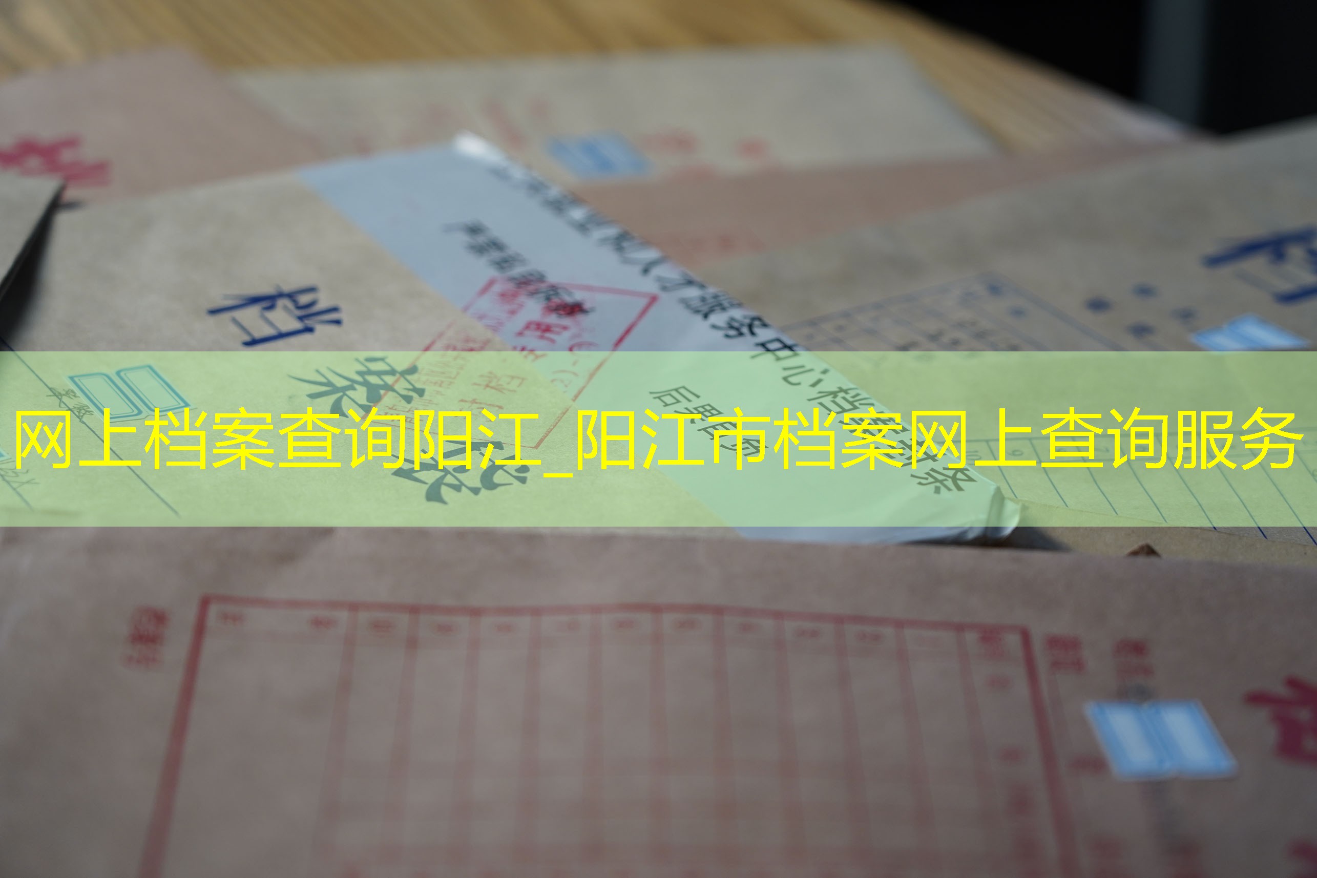 档案查询