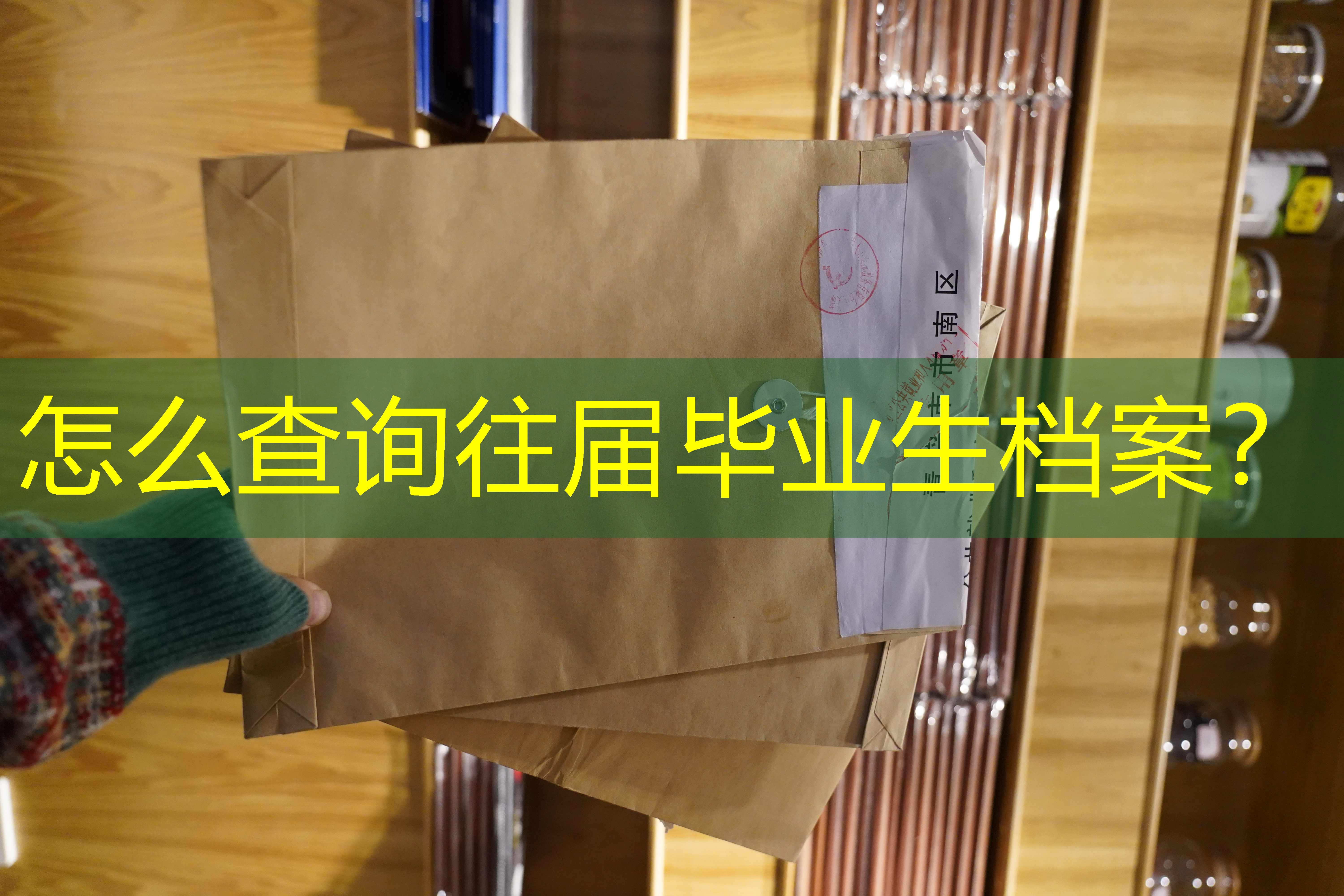 档案查询