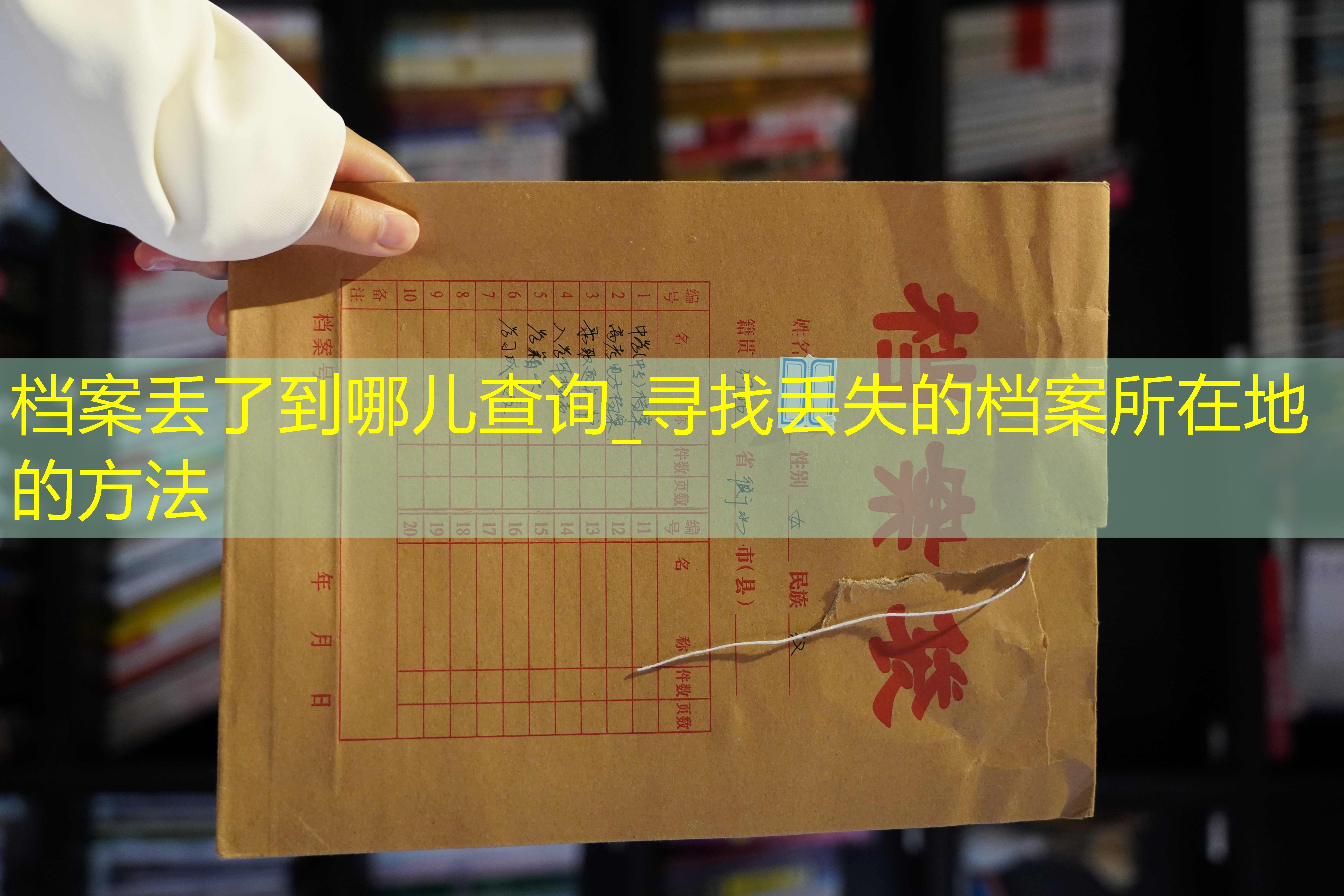 档案查询