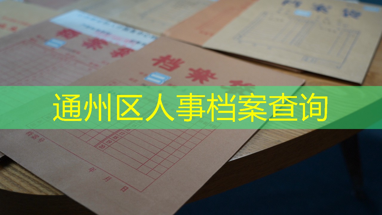 档案查询