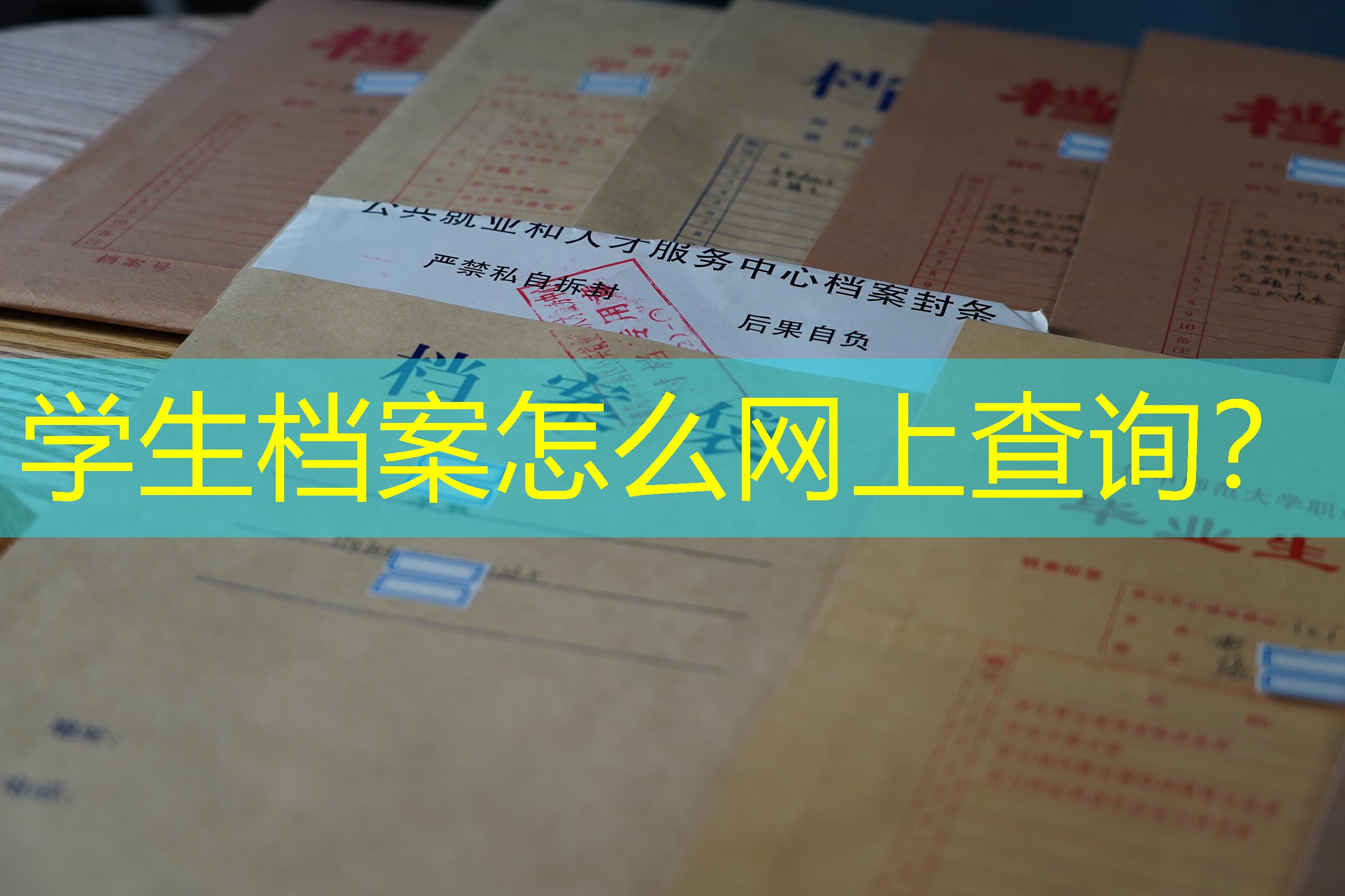 档案查询