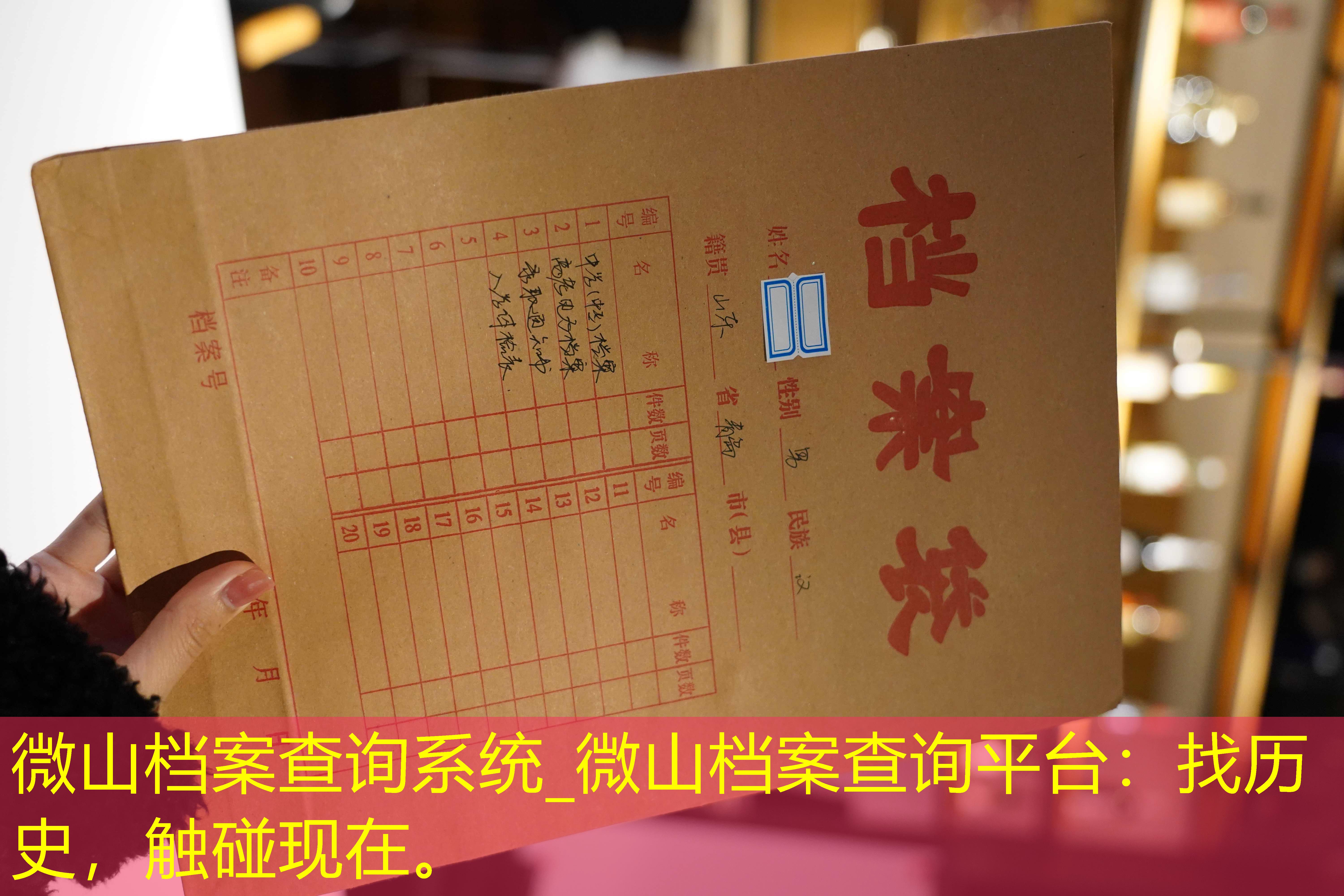 档案查询
