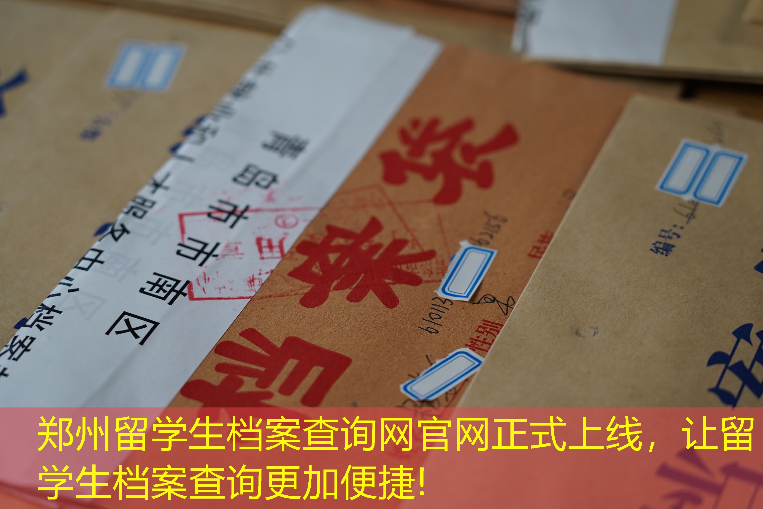 档案查询