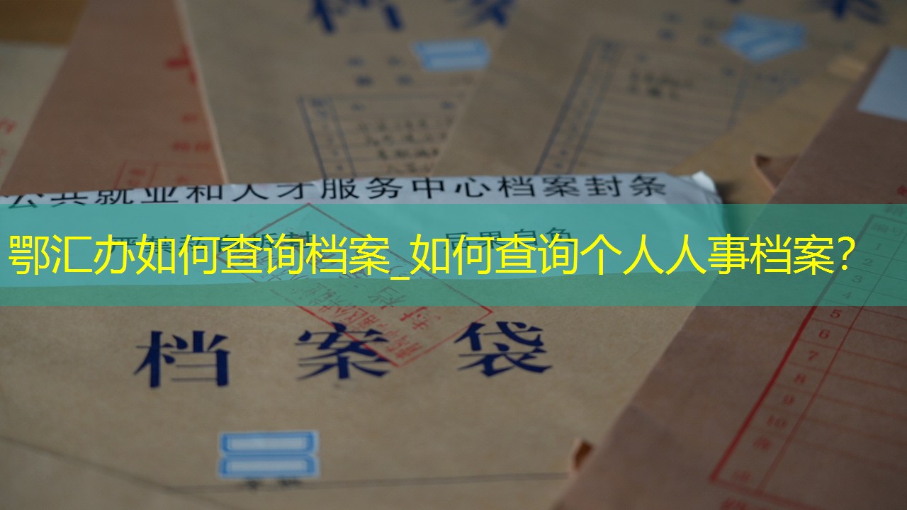 档案查询