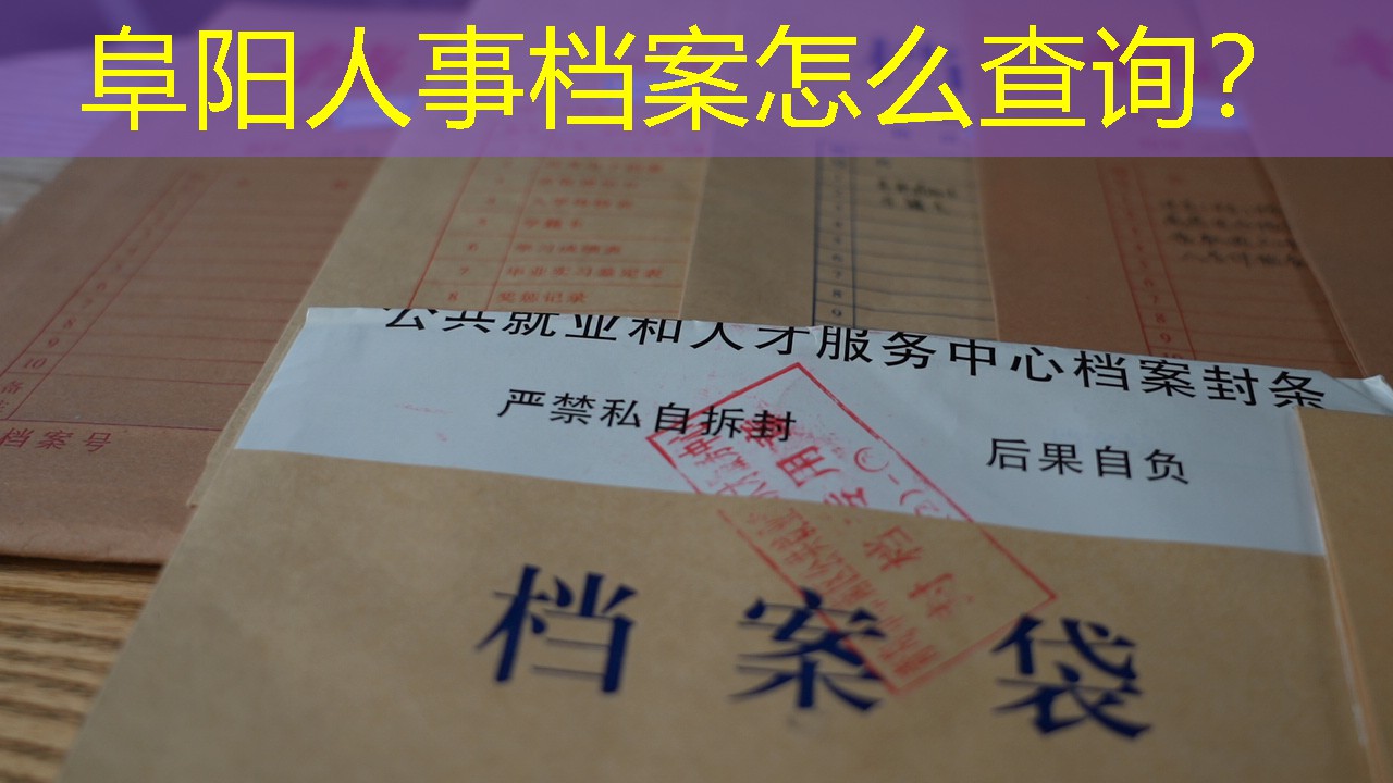 档案查询
