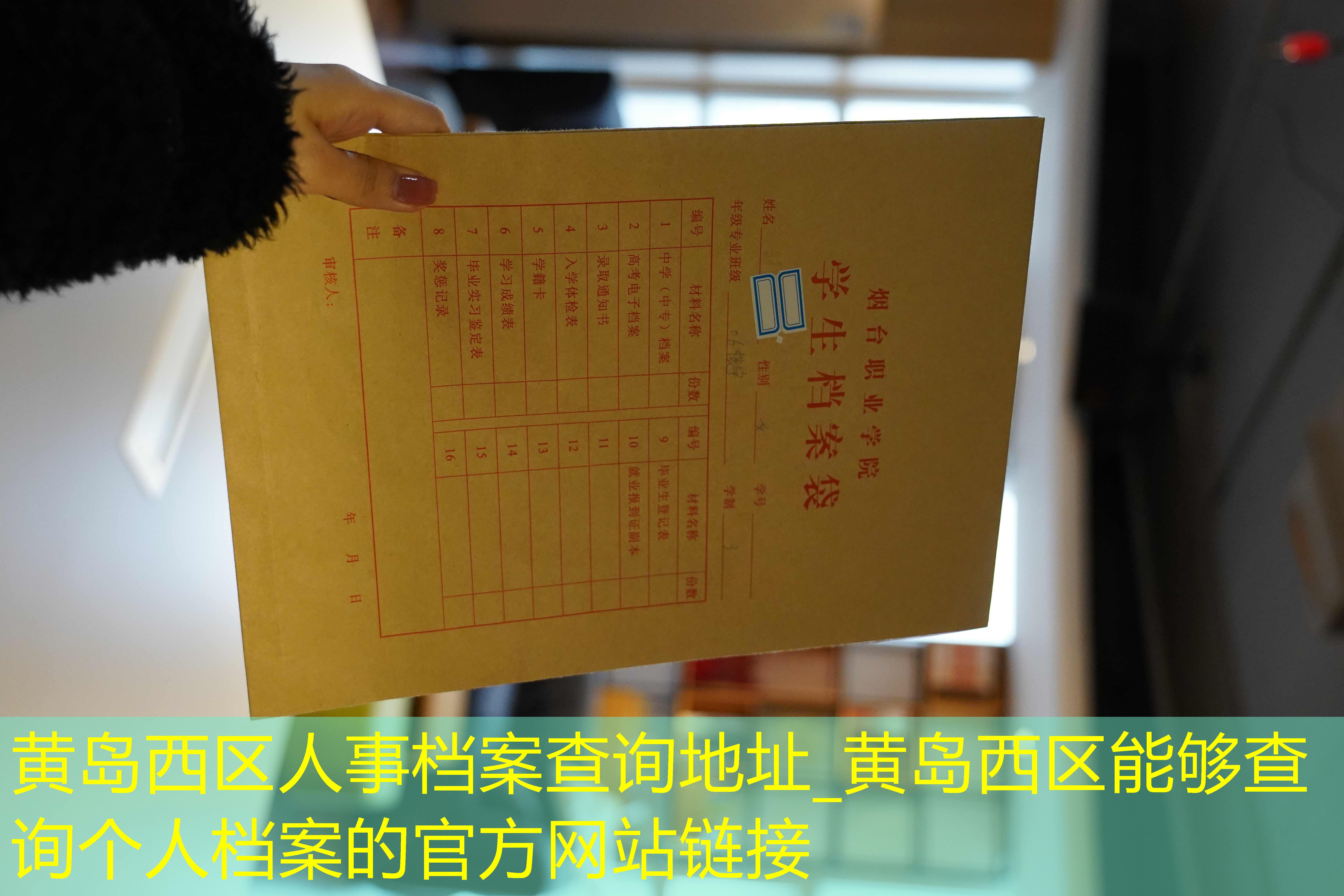 档案查询