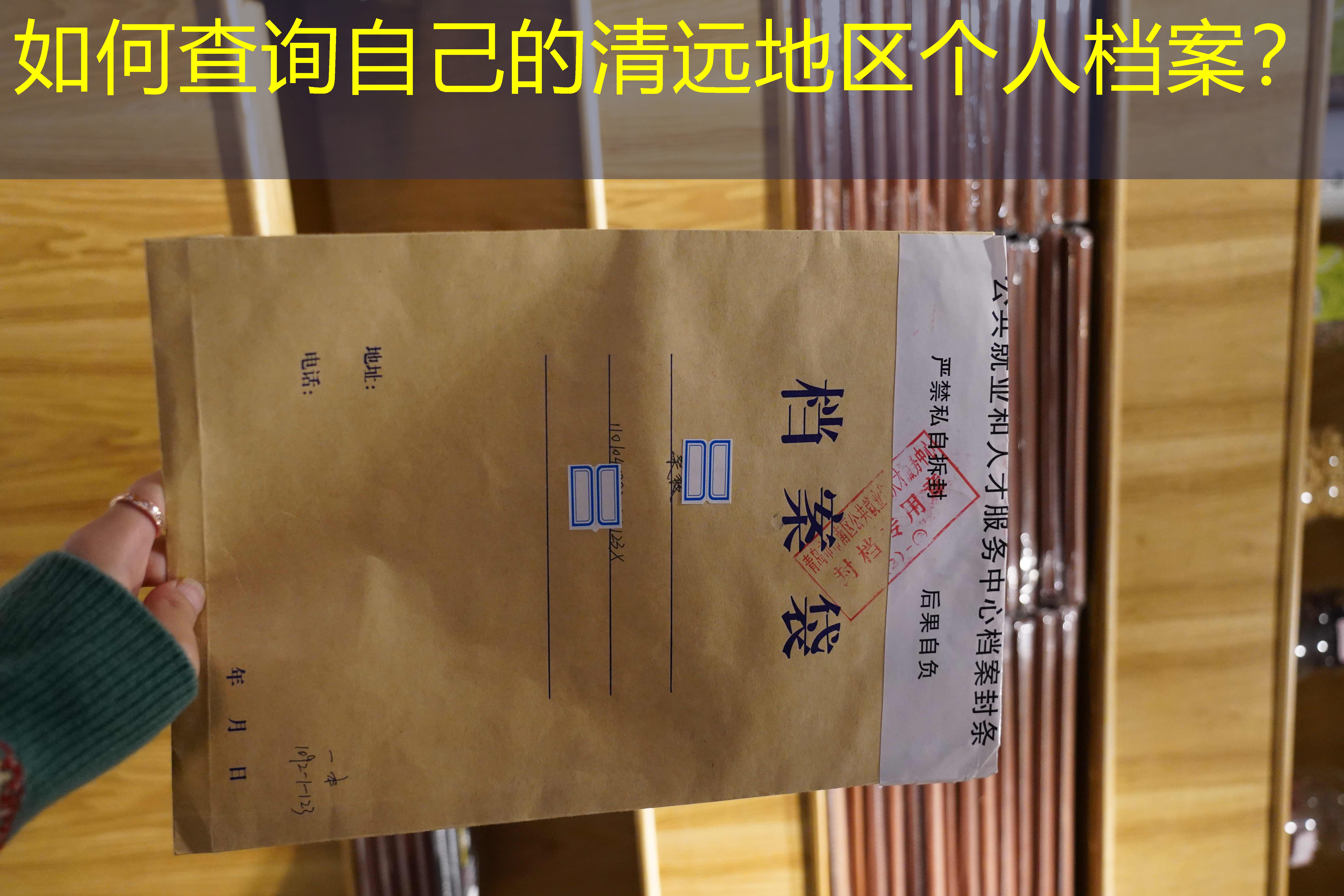 档案查询