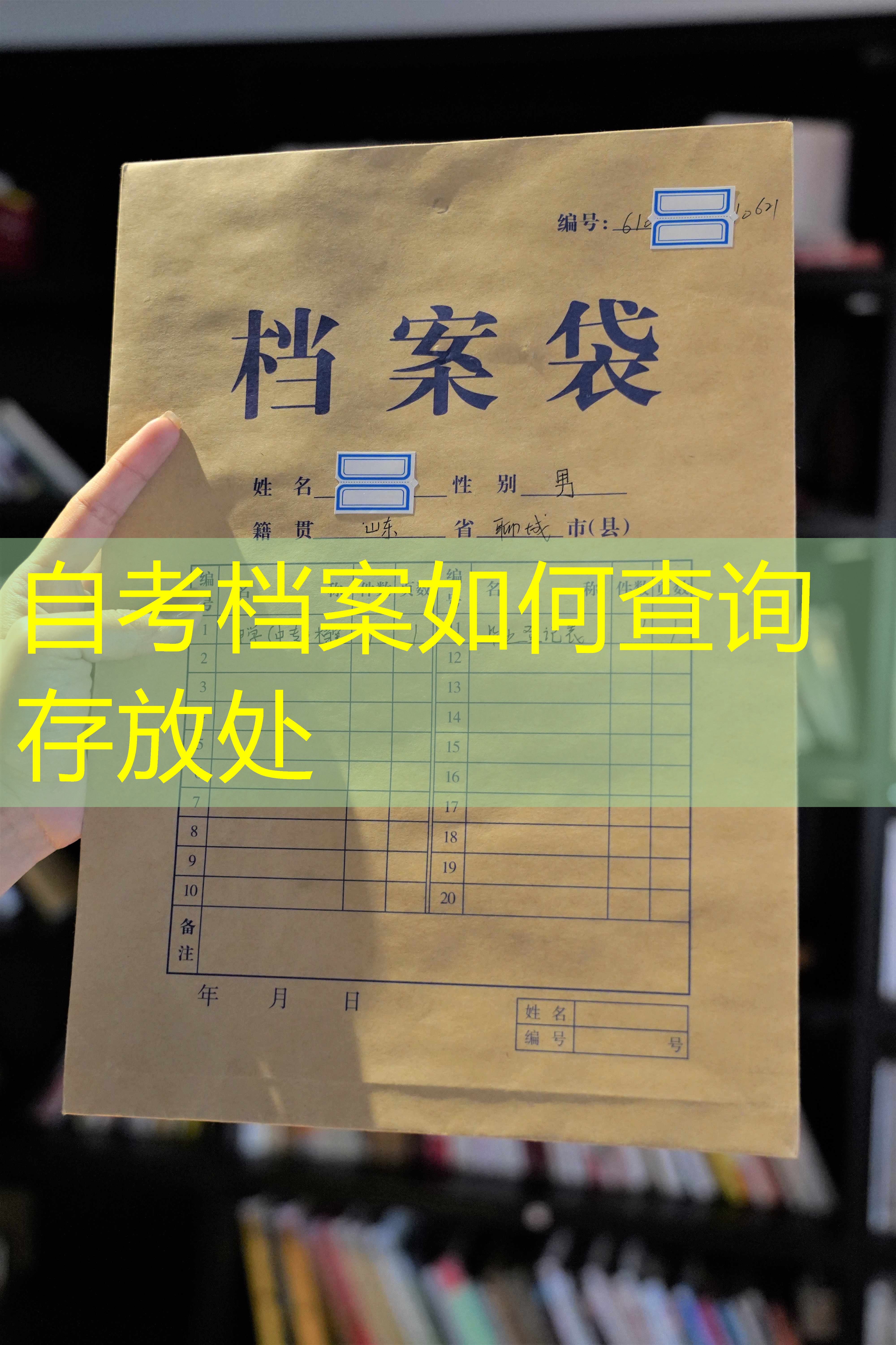 档案查询