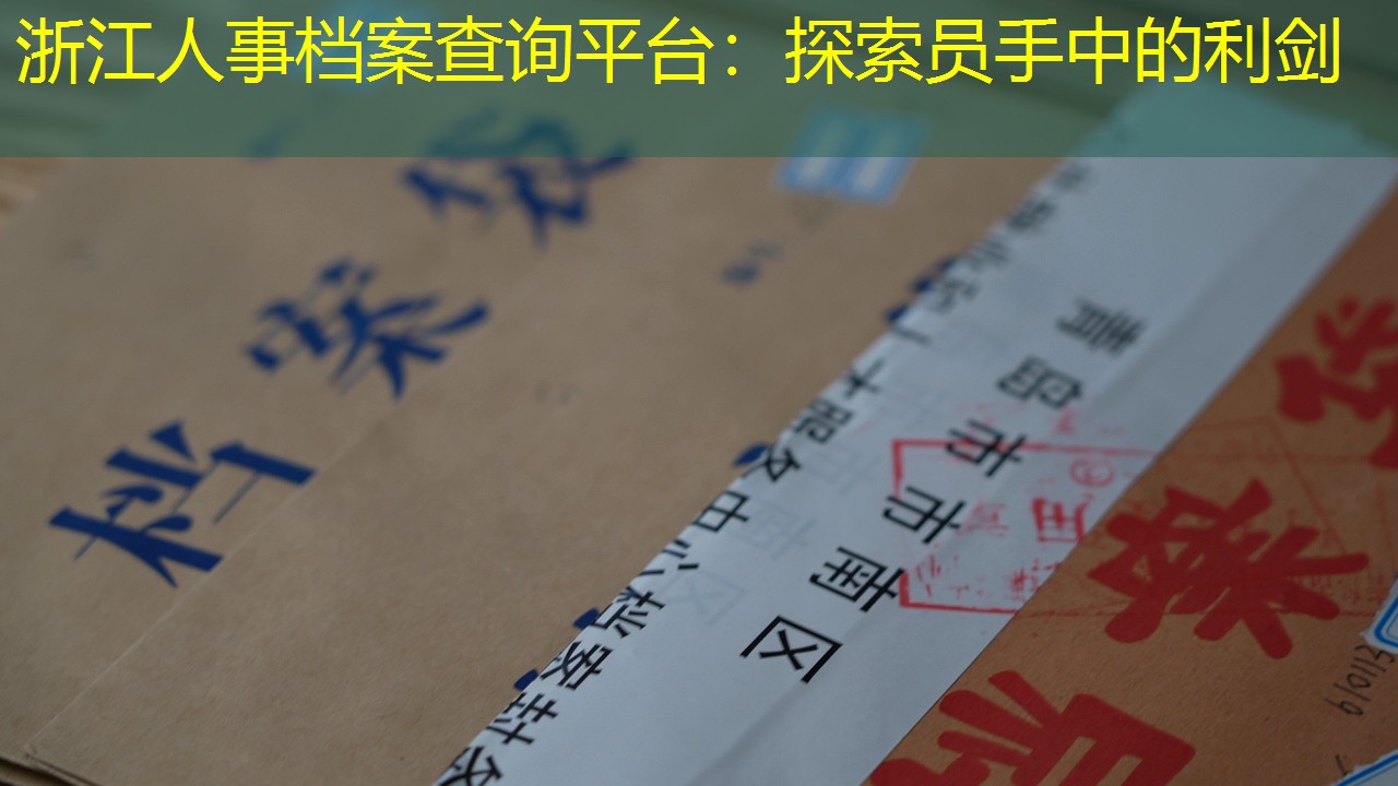 档案查询