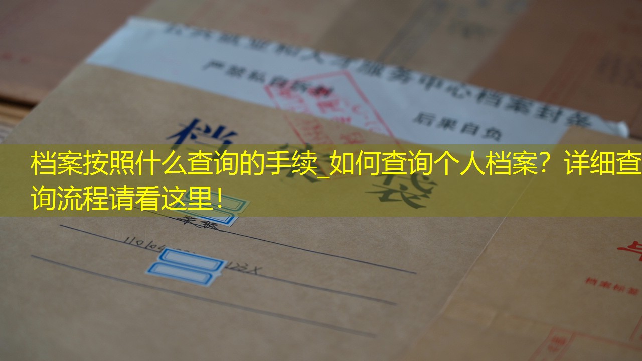 档案查询