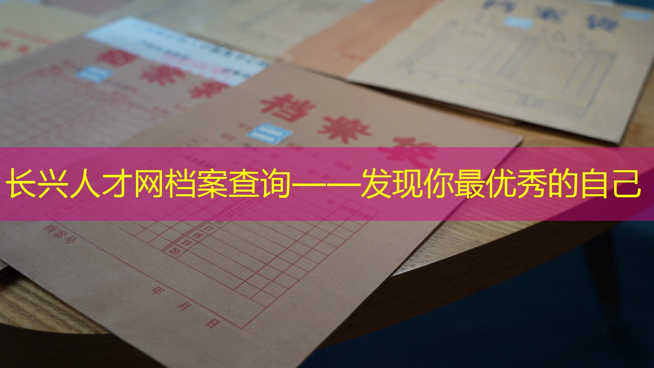 档案查询