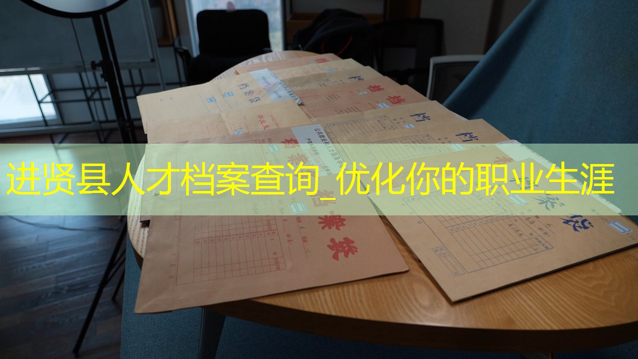 档案查询