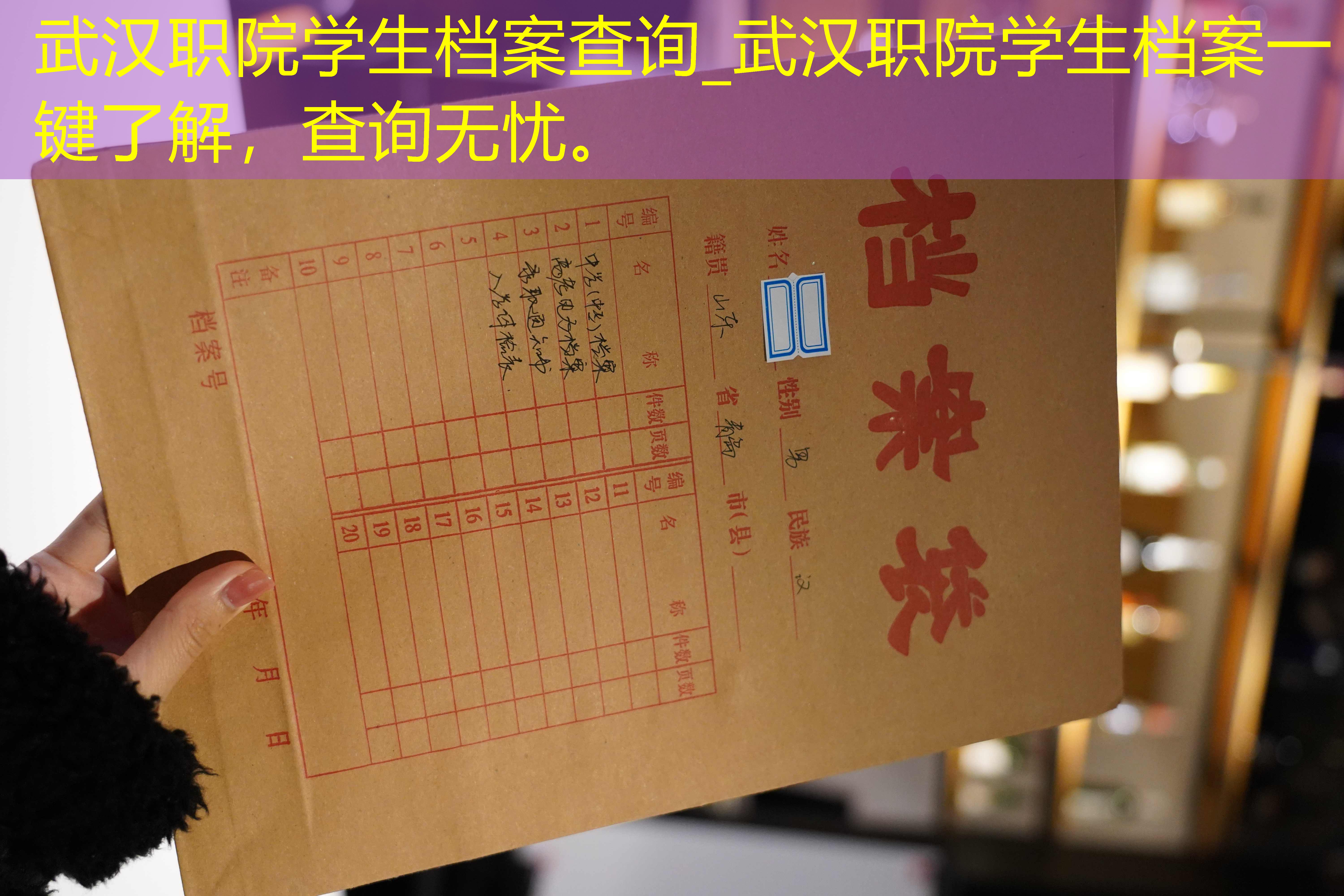 档案查询