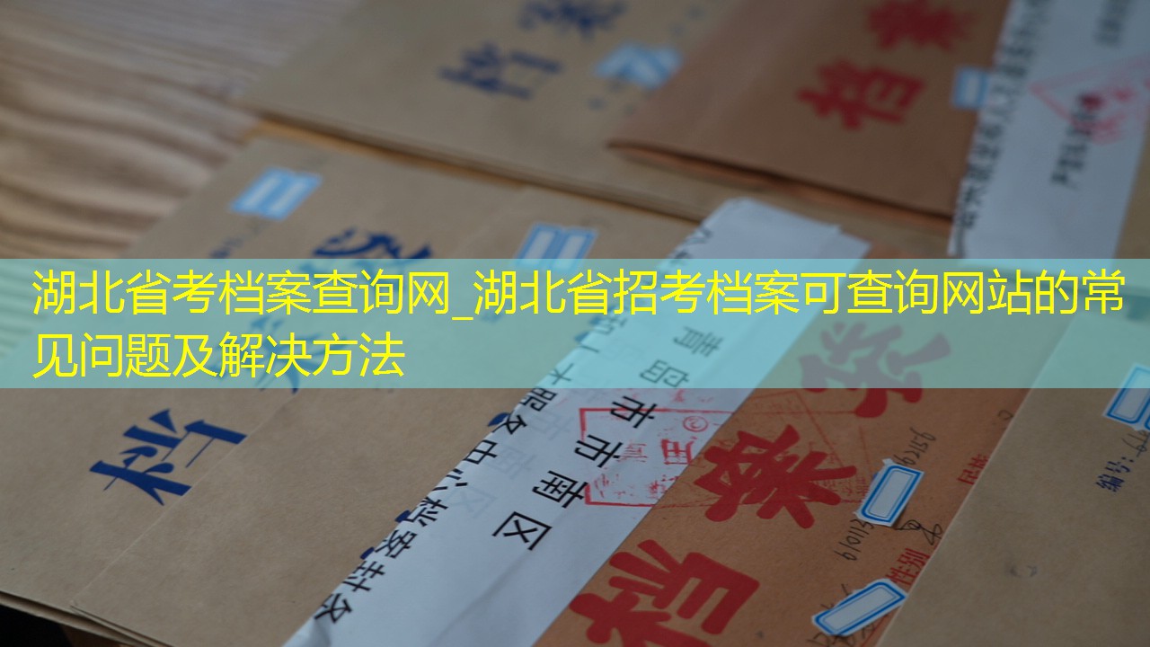 档案查询