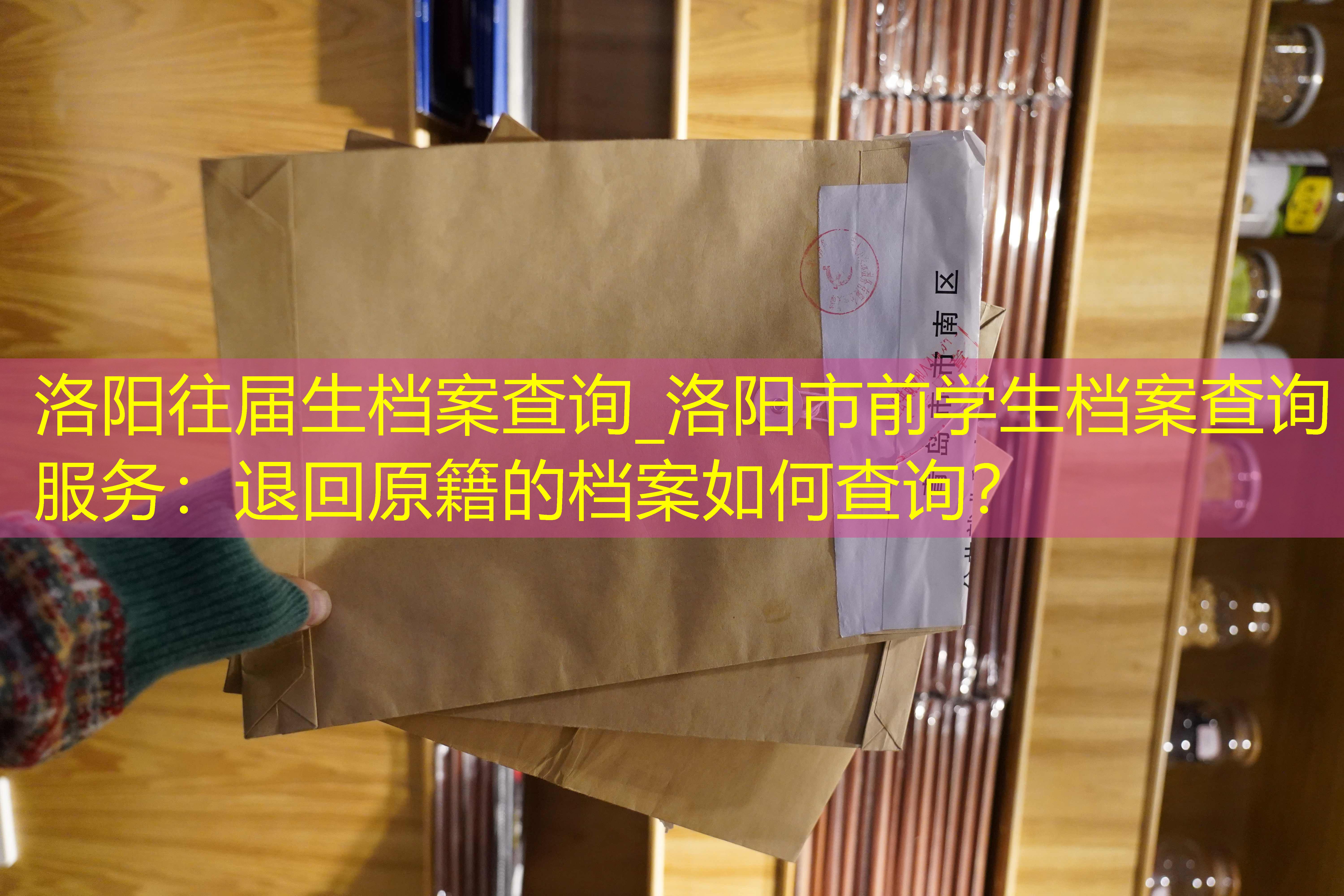档案查询