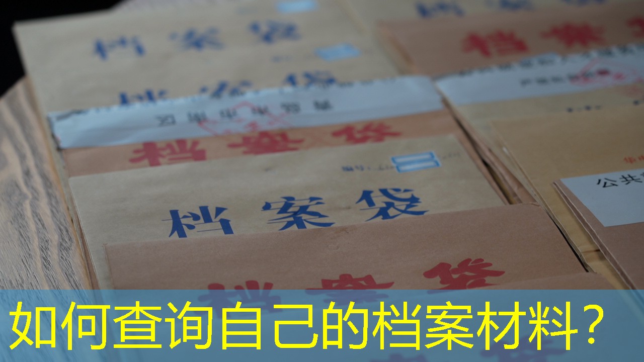 档案查询
