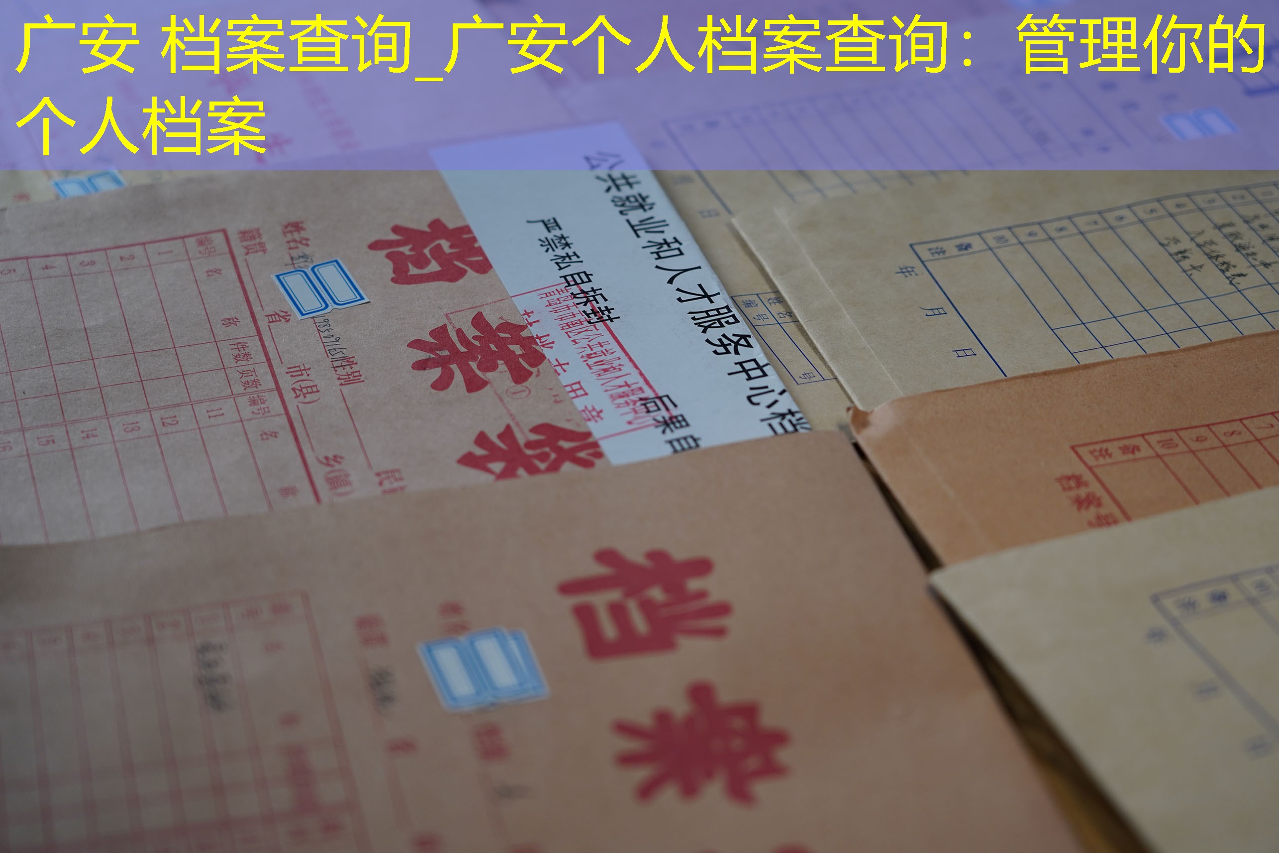 档案查询
