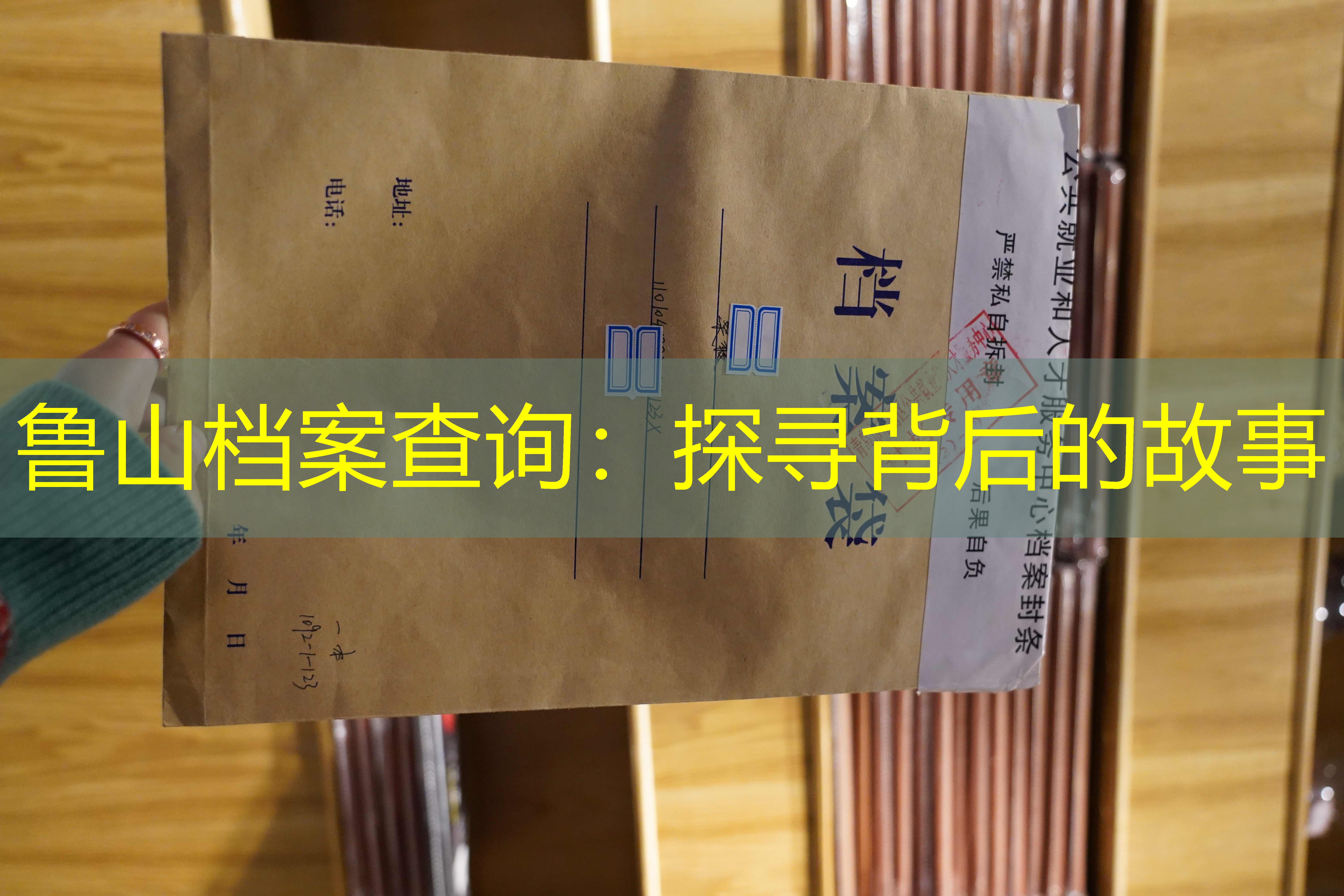 档案查询