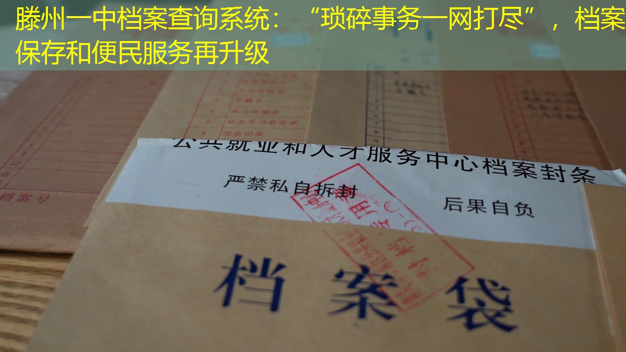 档案查询
