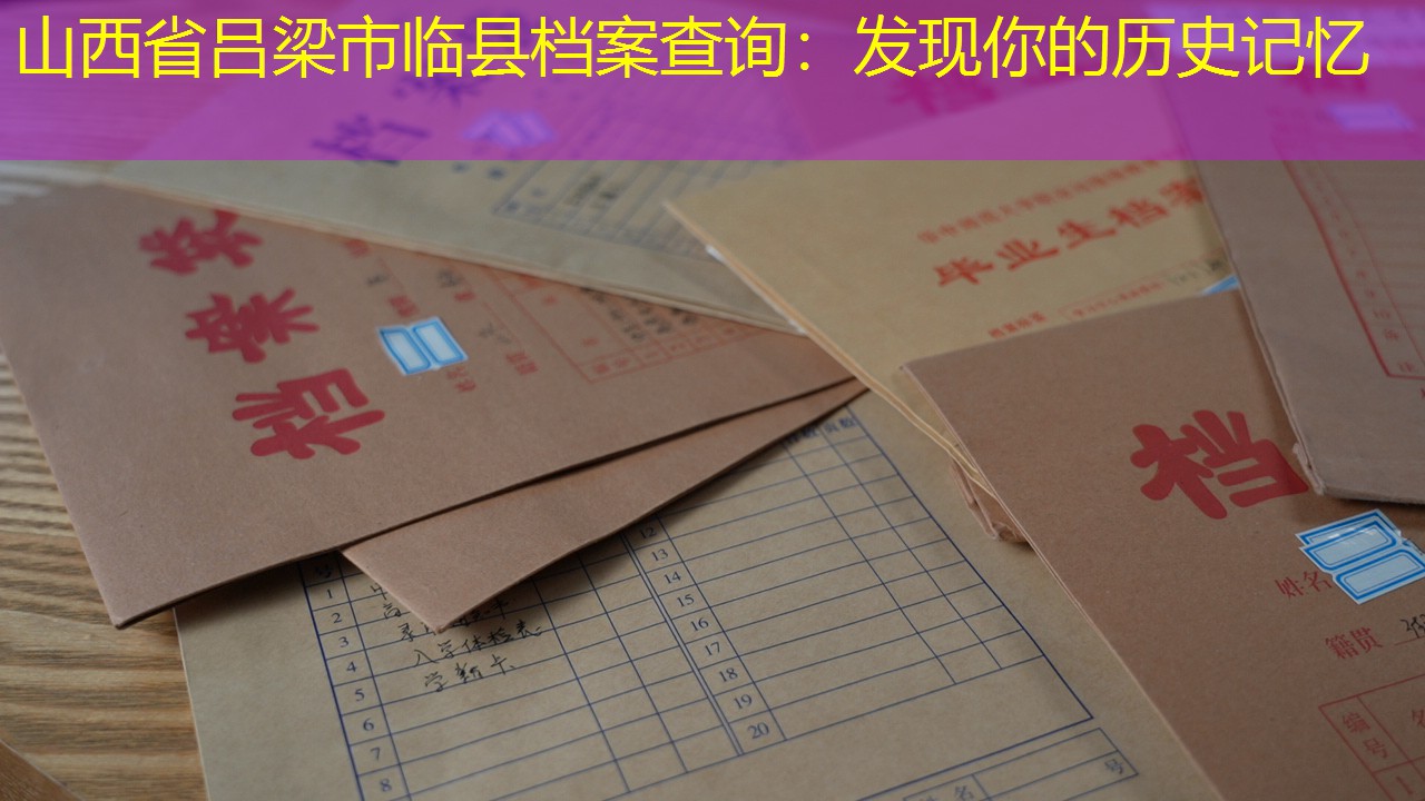 档案查询