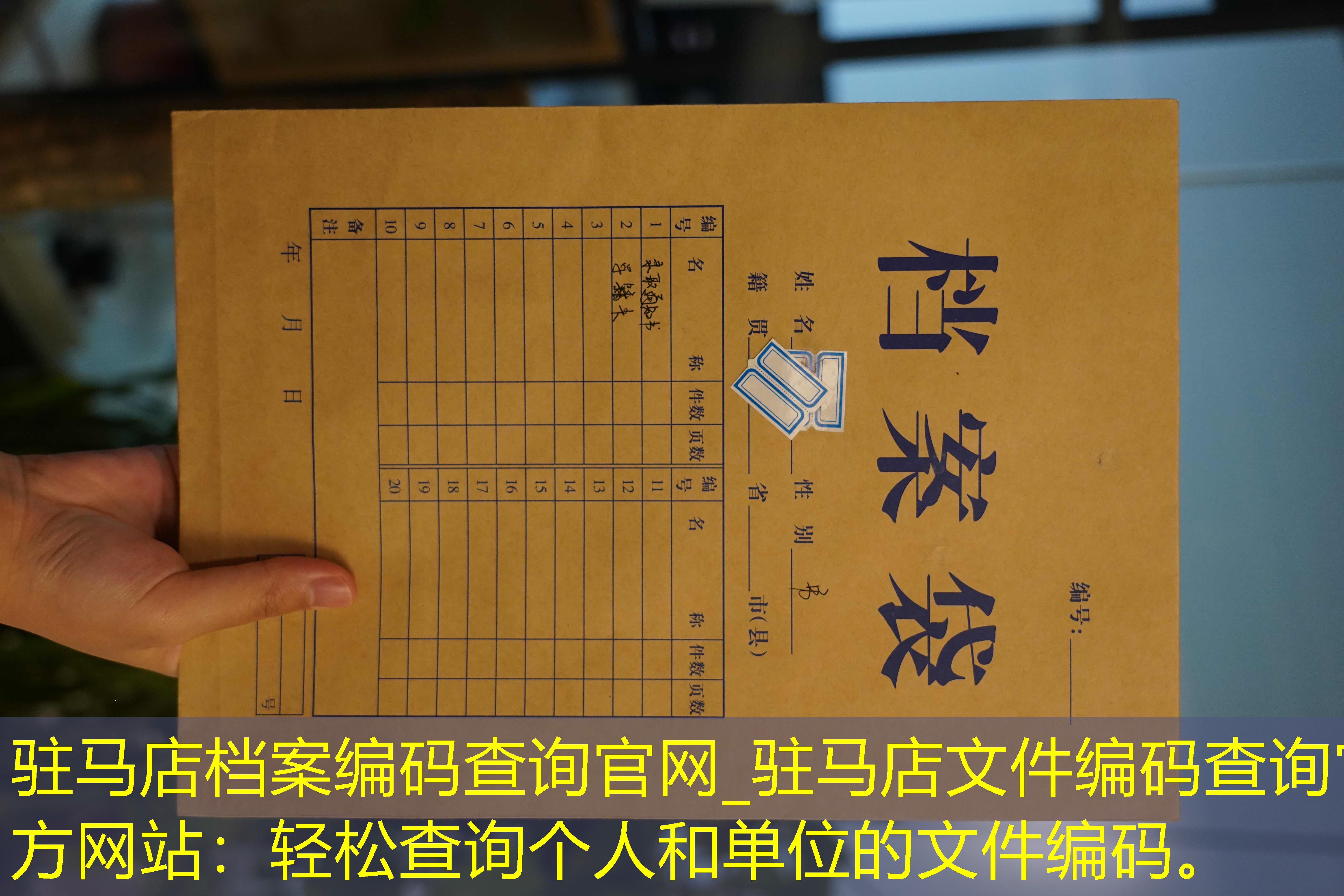 档案查询