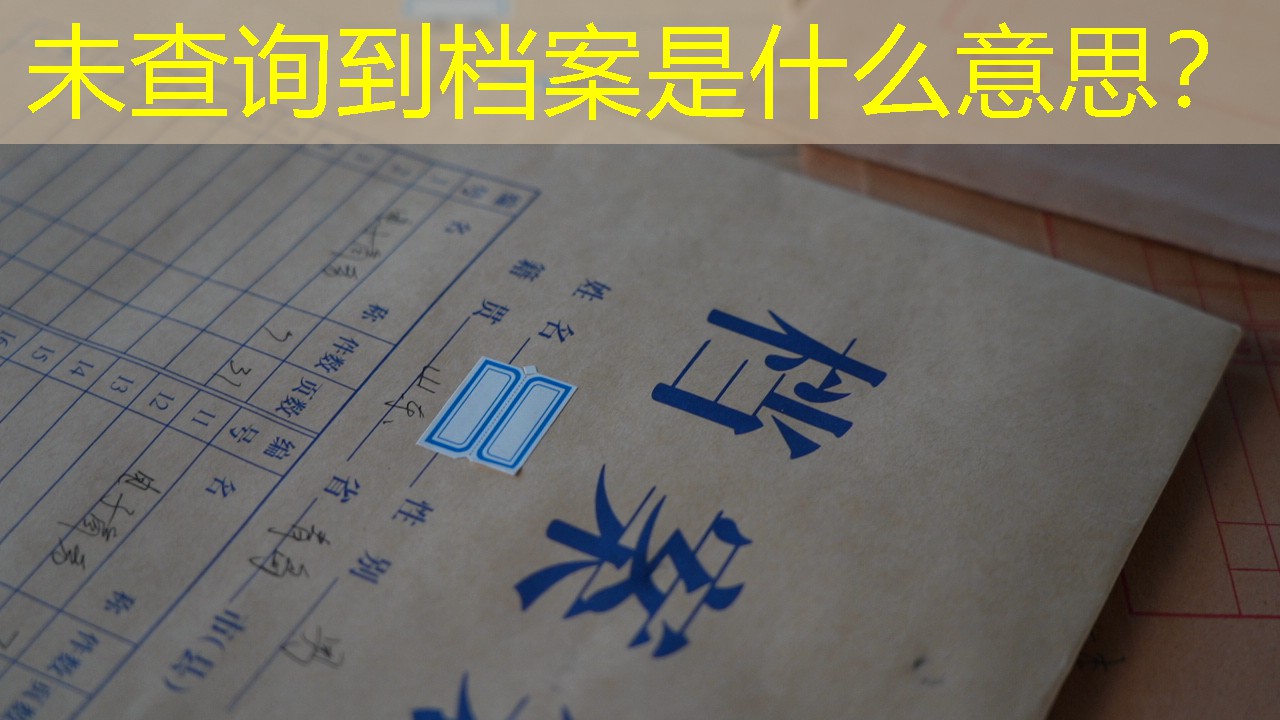 档案查询