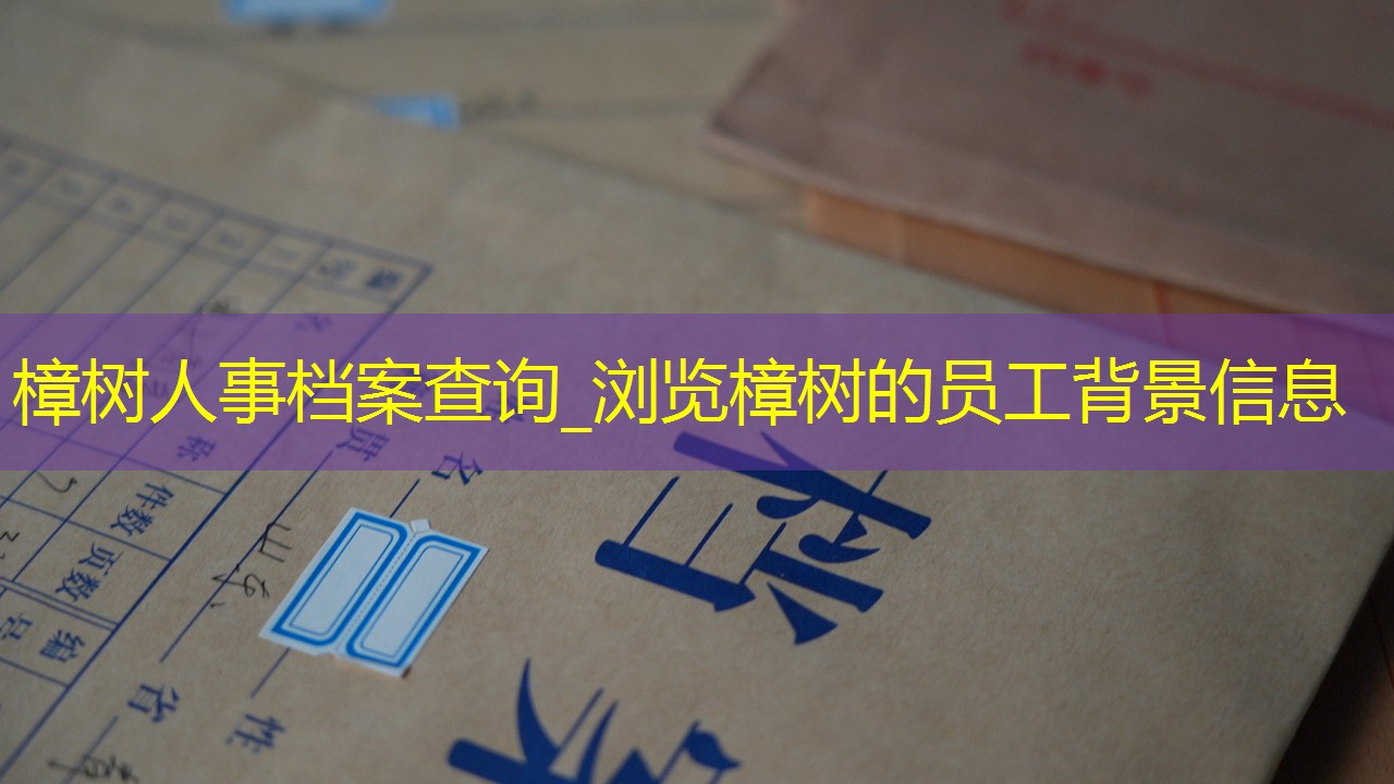档案查询
