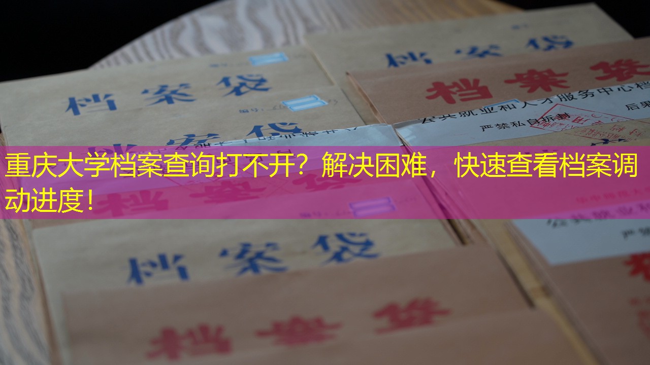 档案查询