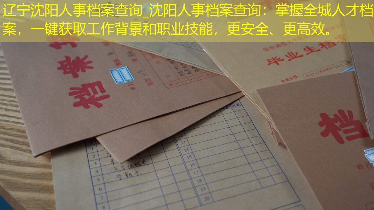 档案查询