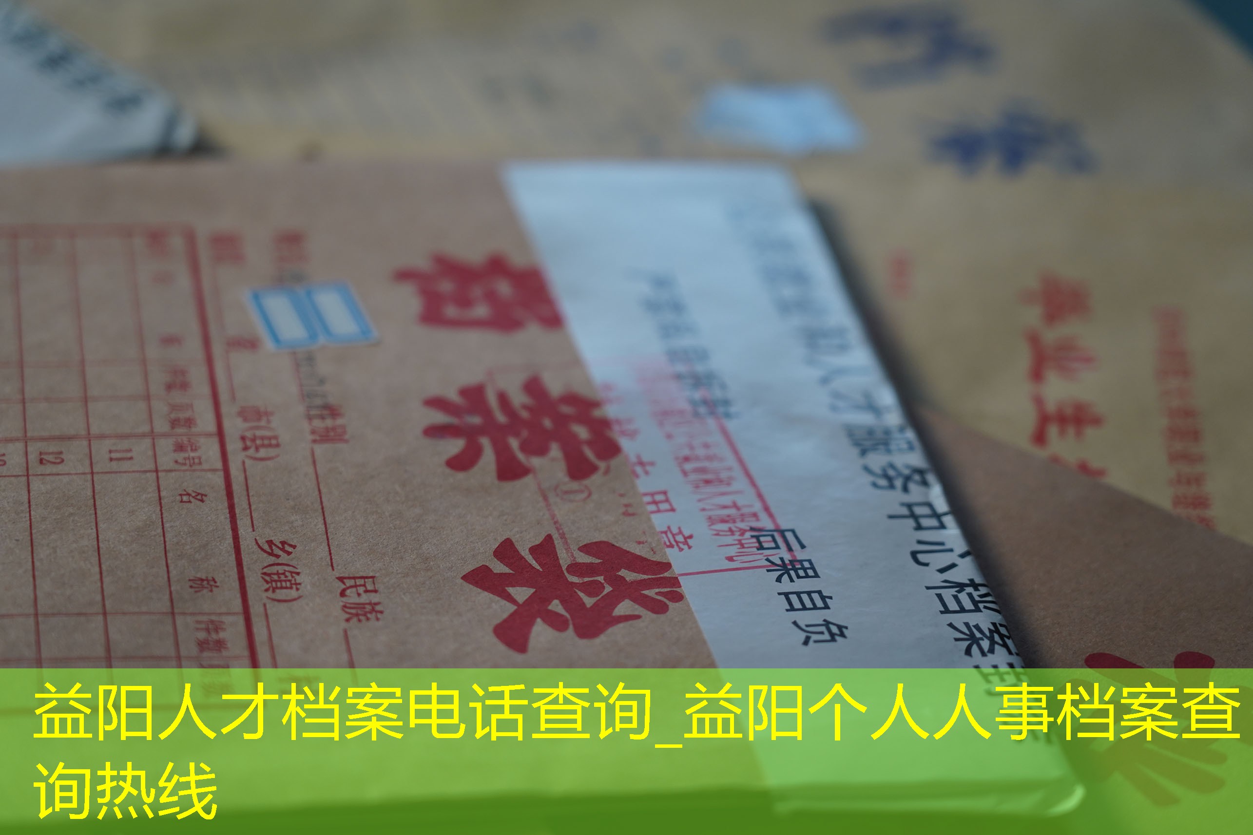 档案查询
