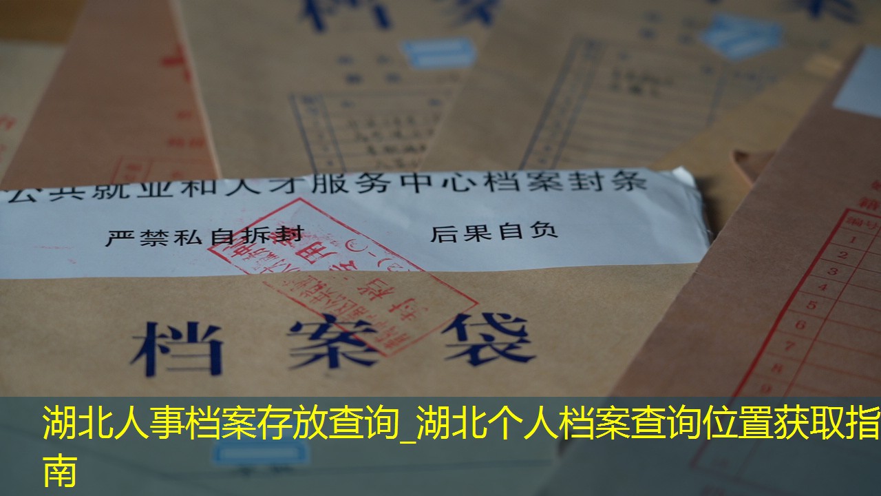 档案查询