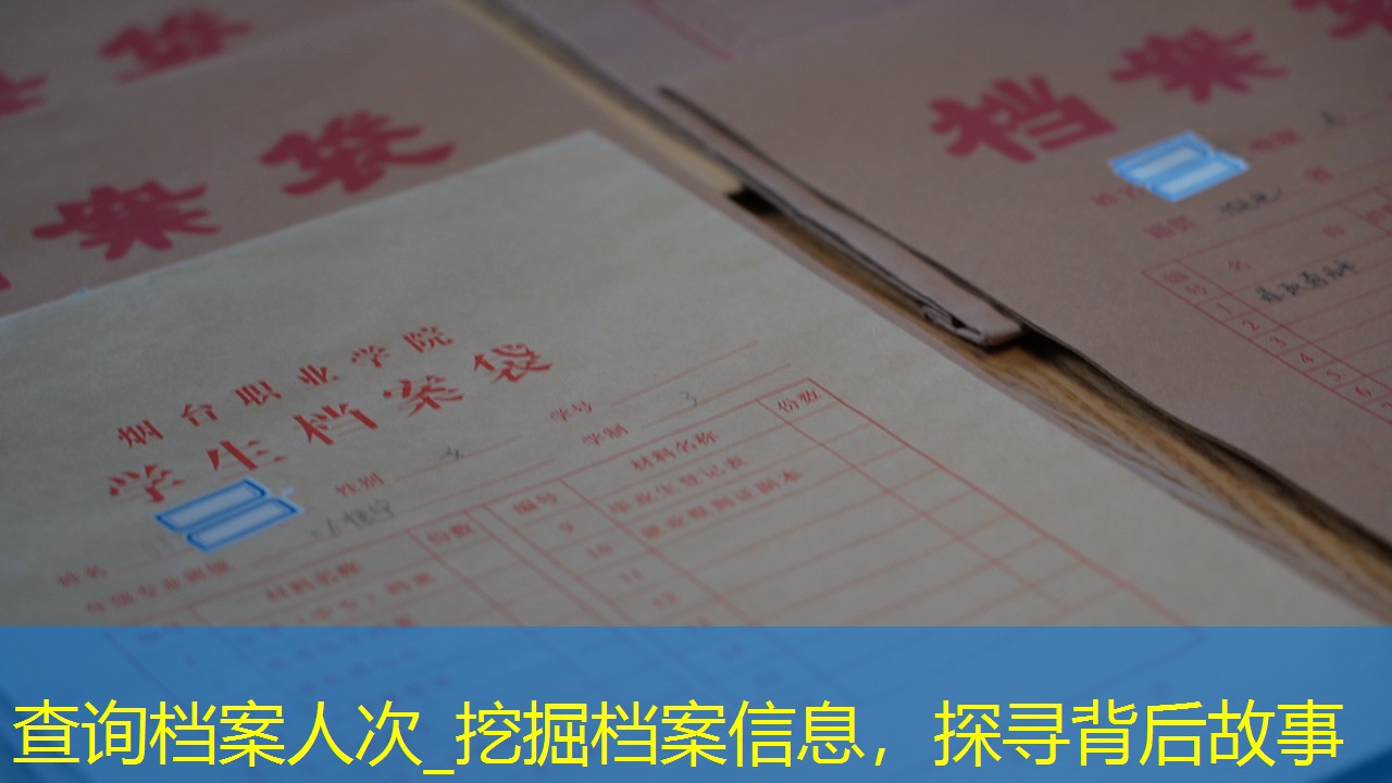 档案查询