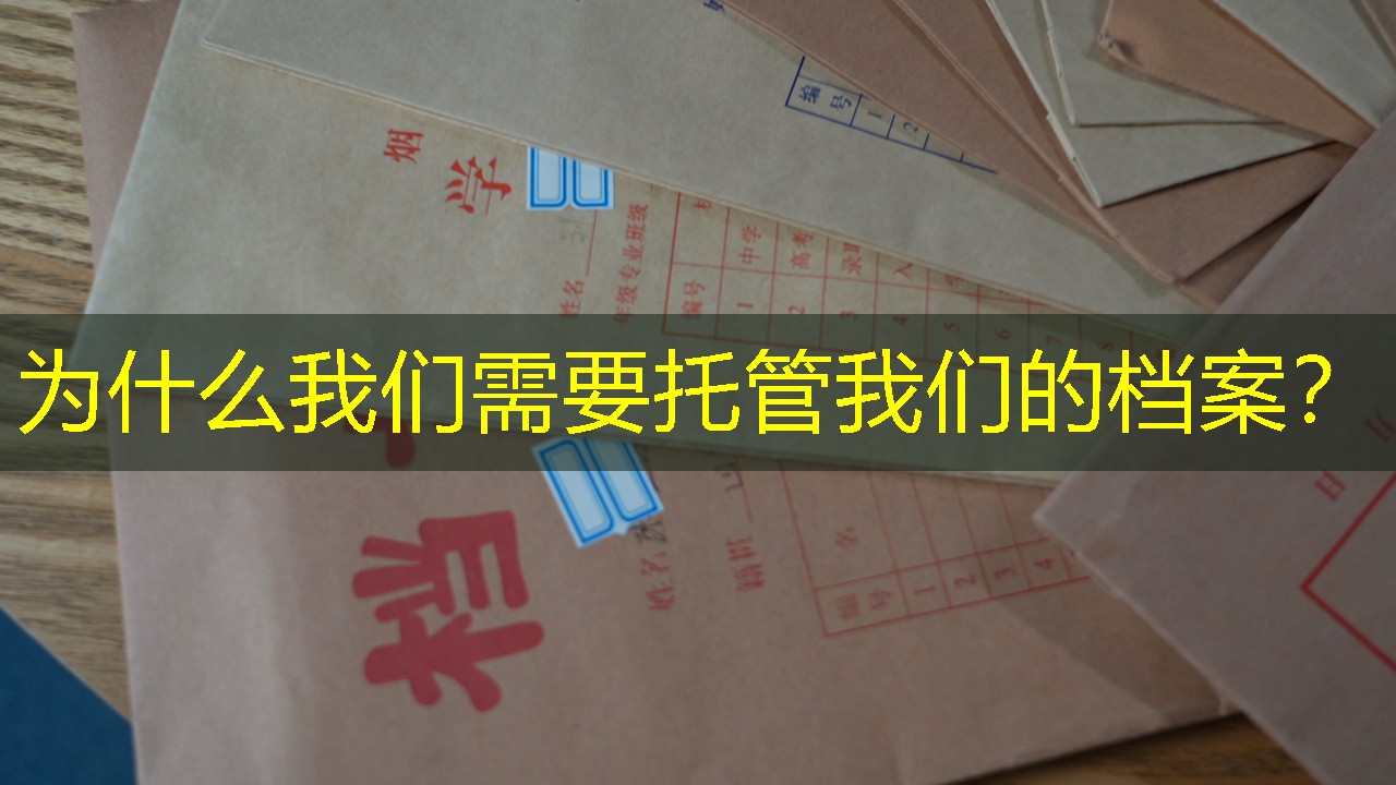 档案查询