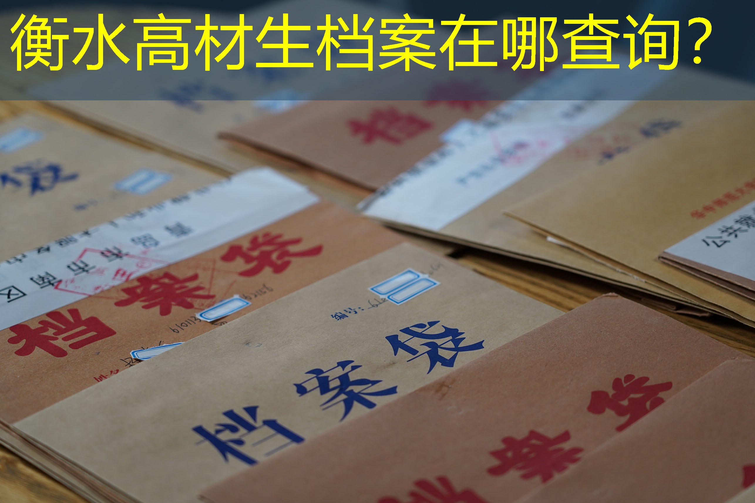 档案查询