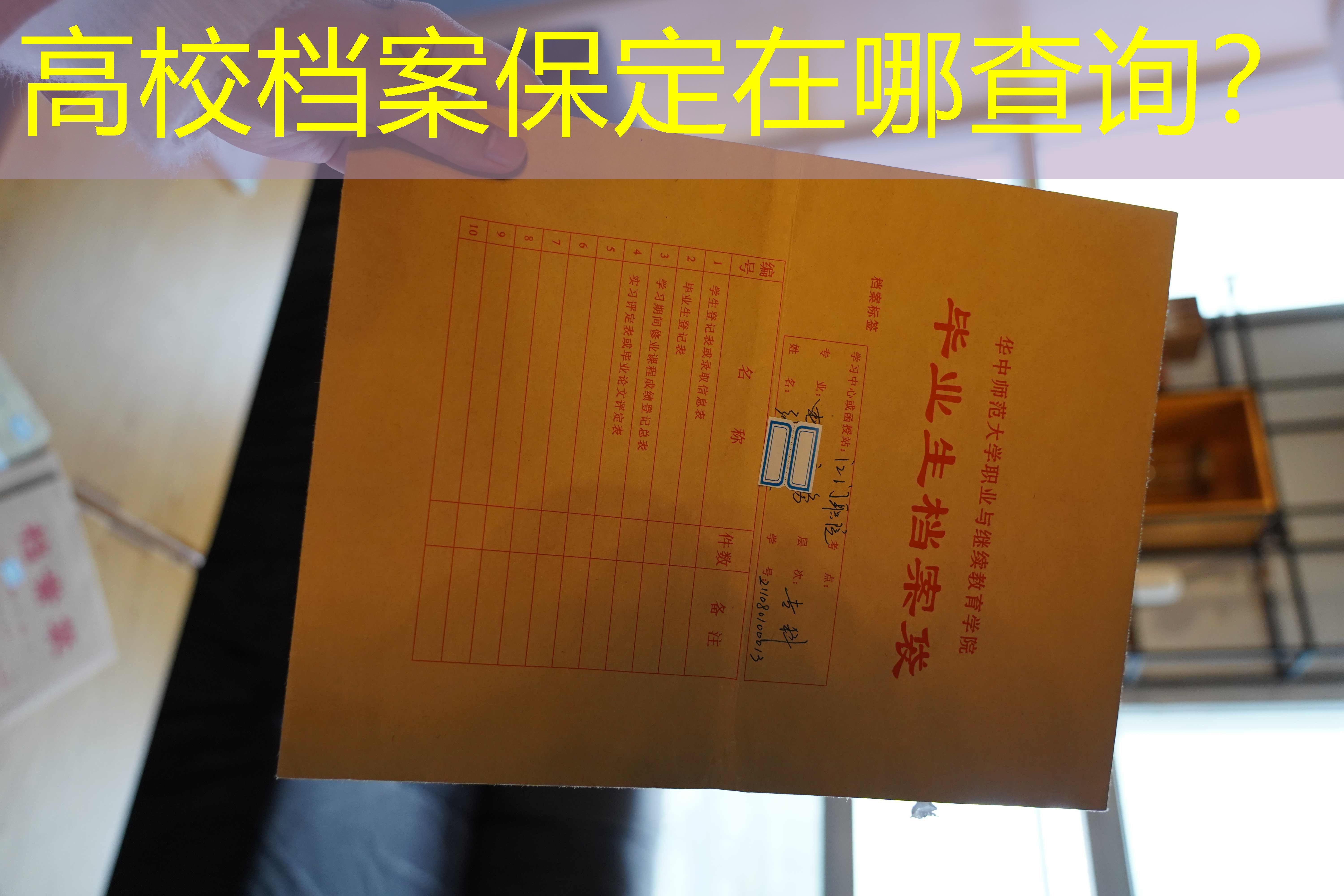 档案查询