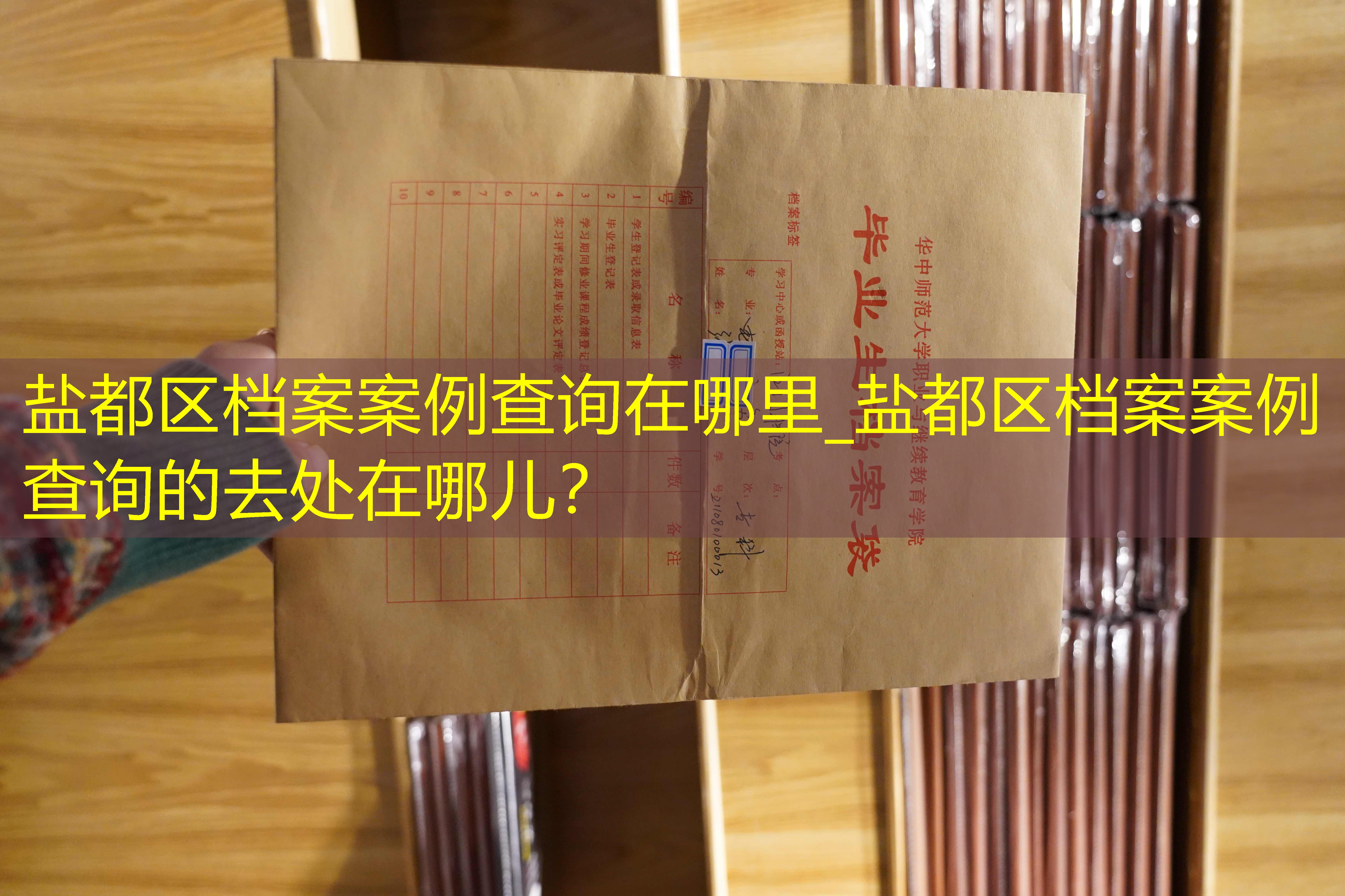 档案查询