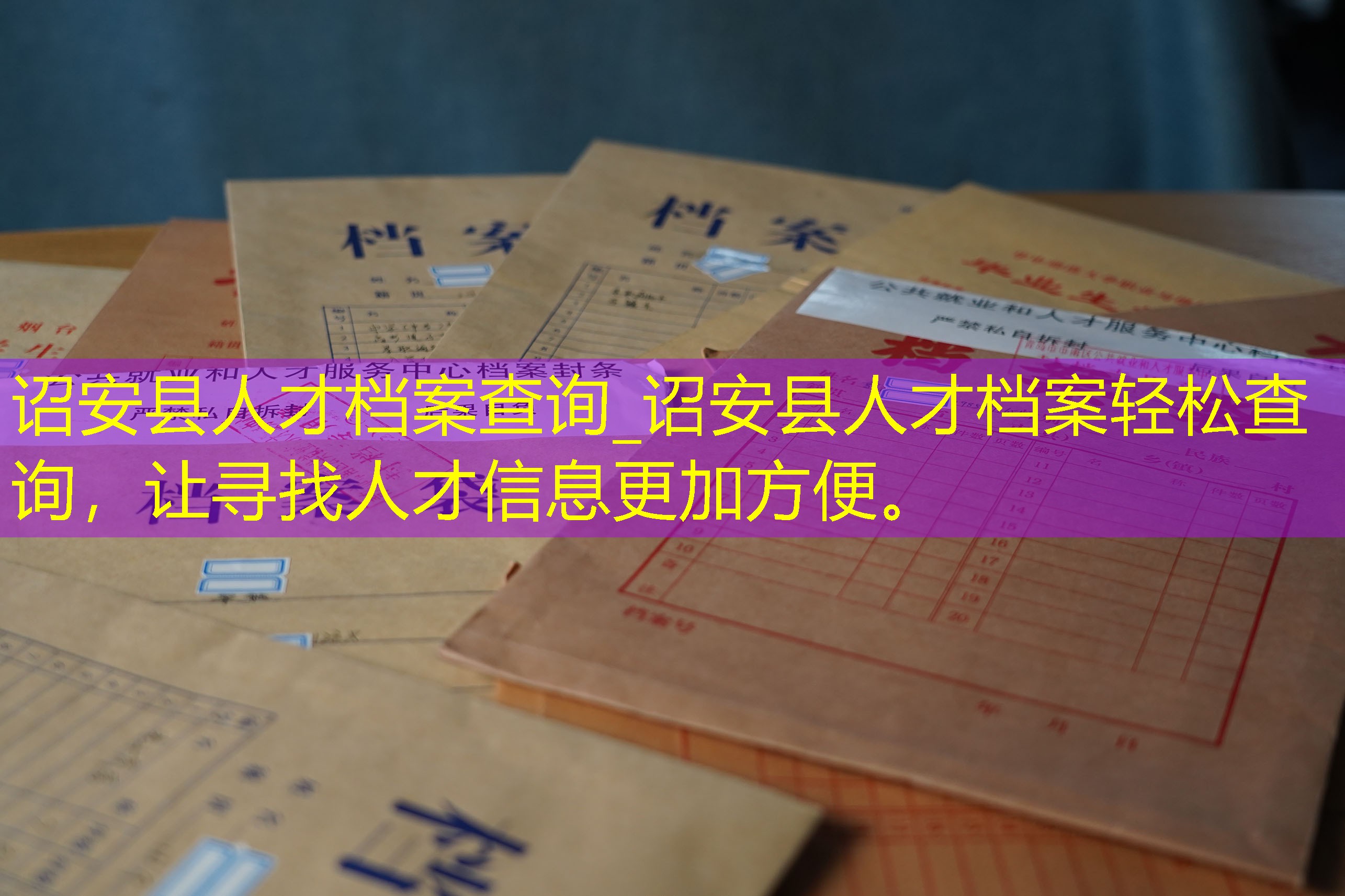 档案查询