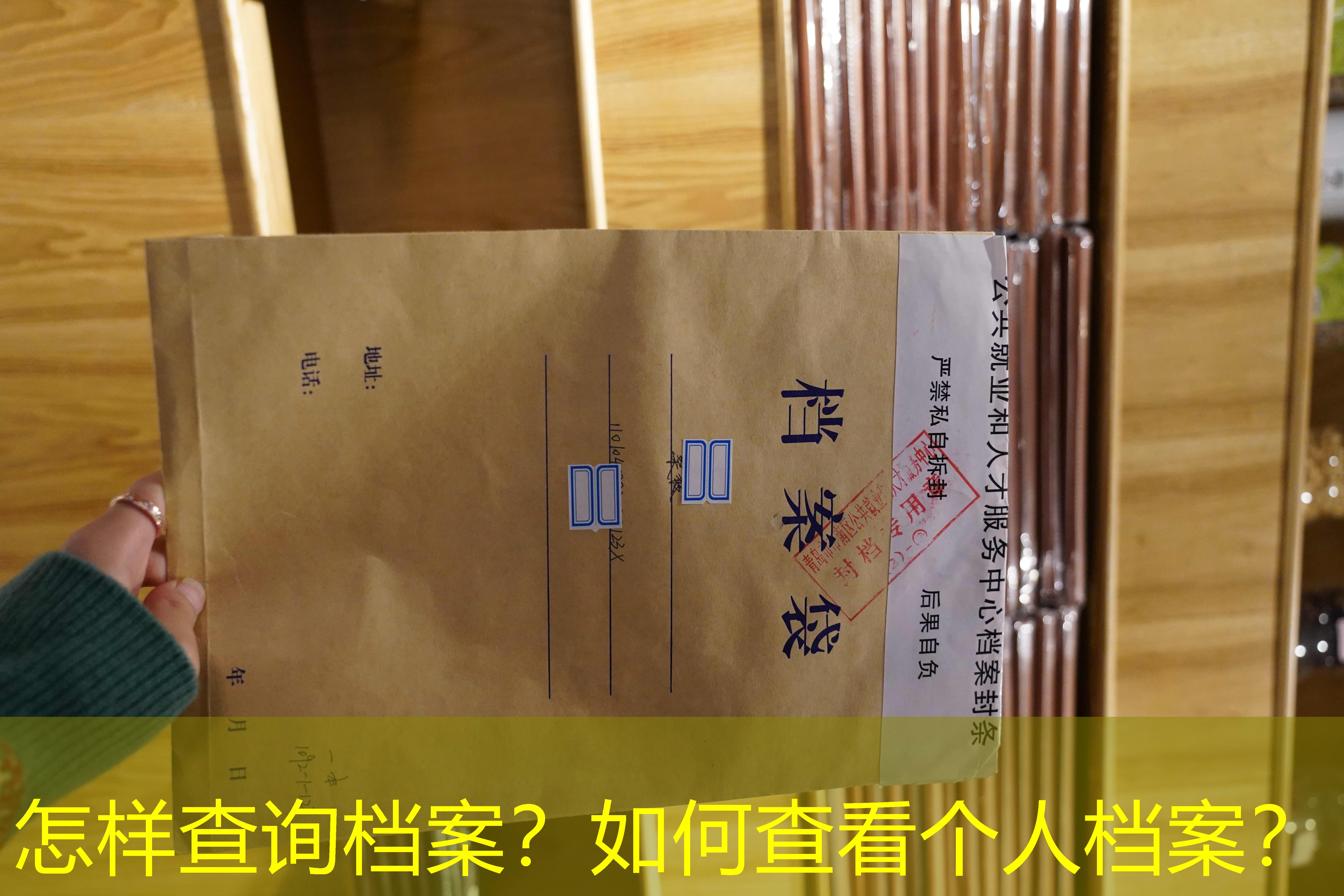档案查询