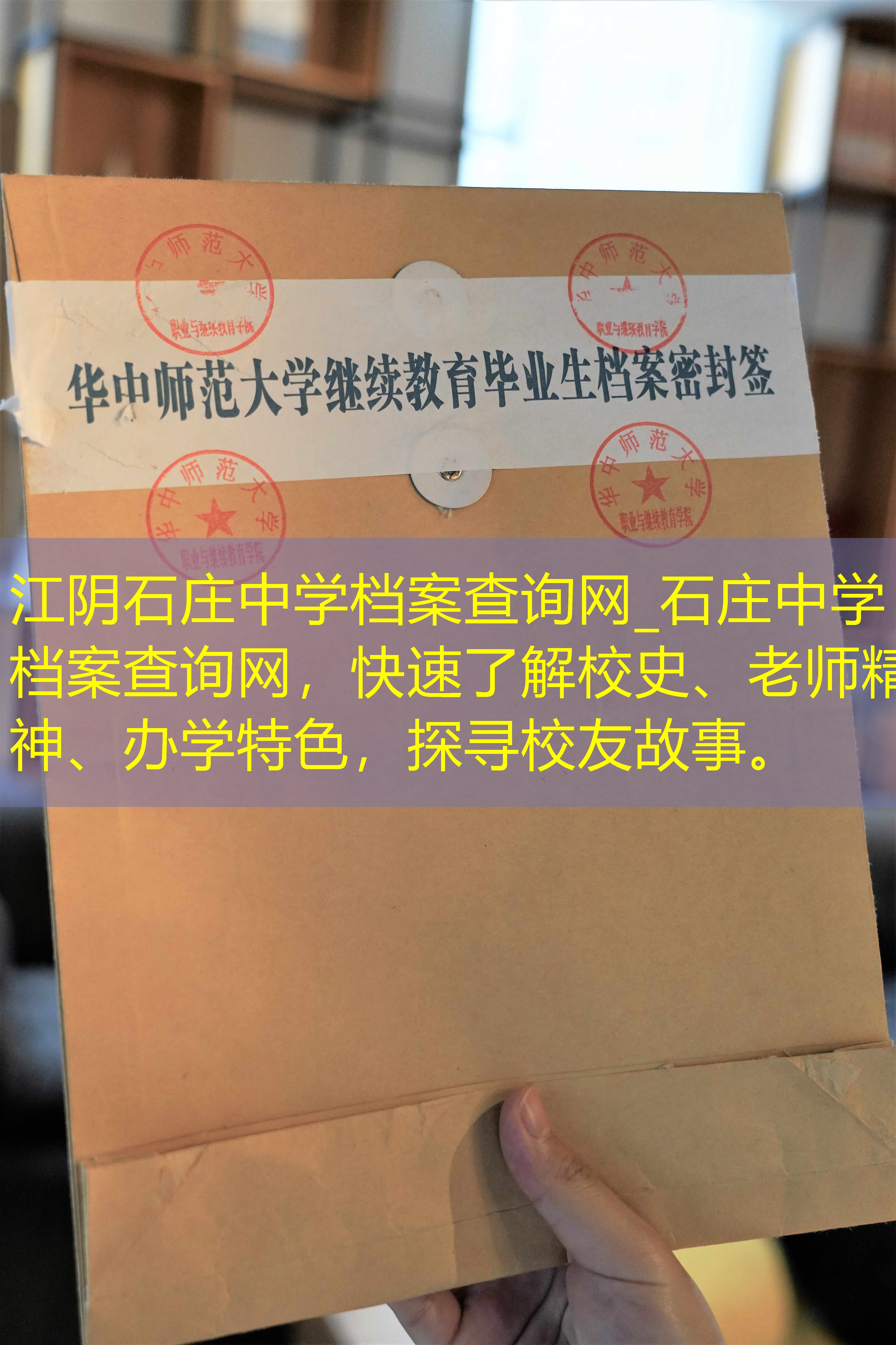 档案查询