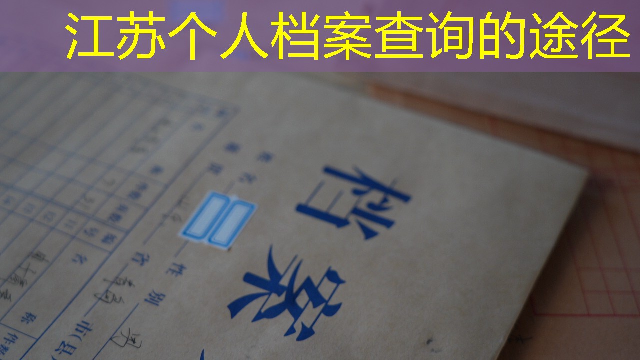 档案查询