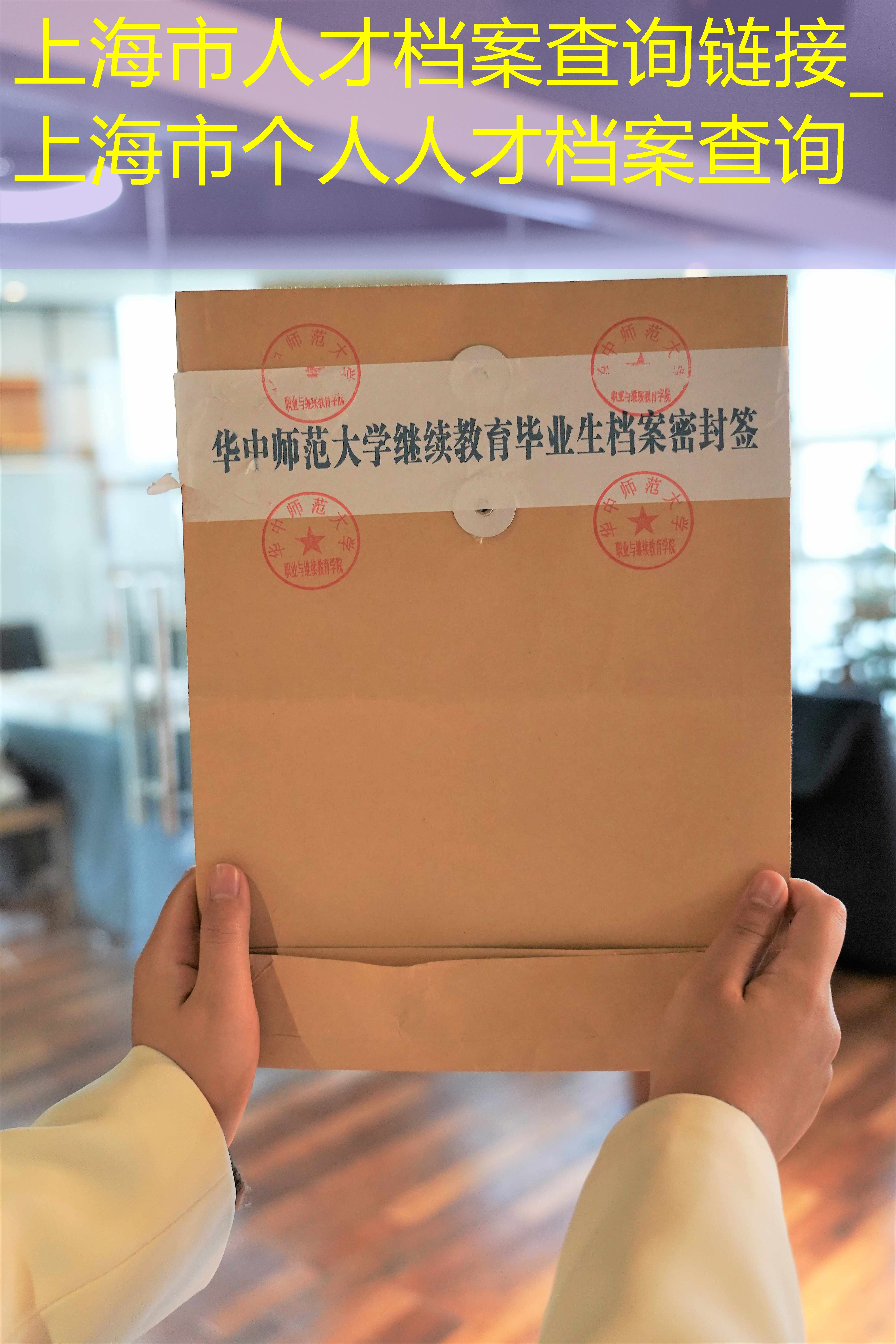 档案查询