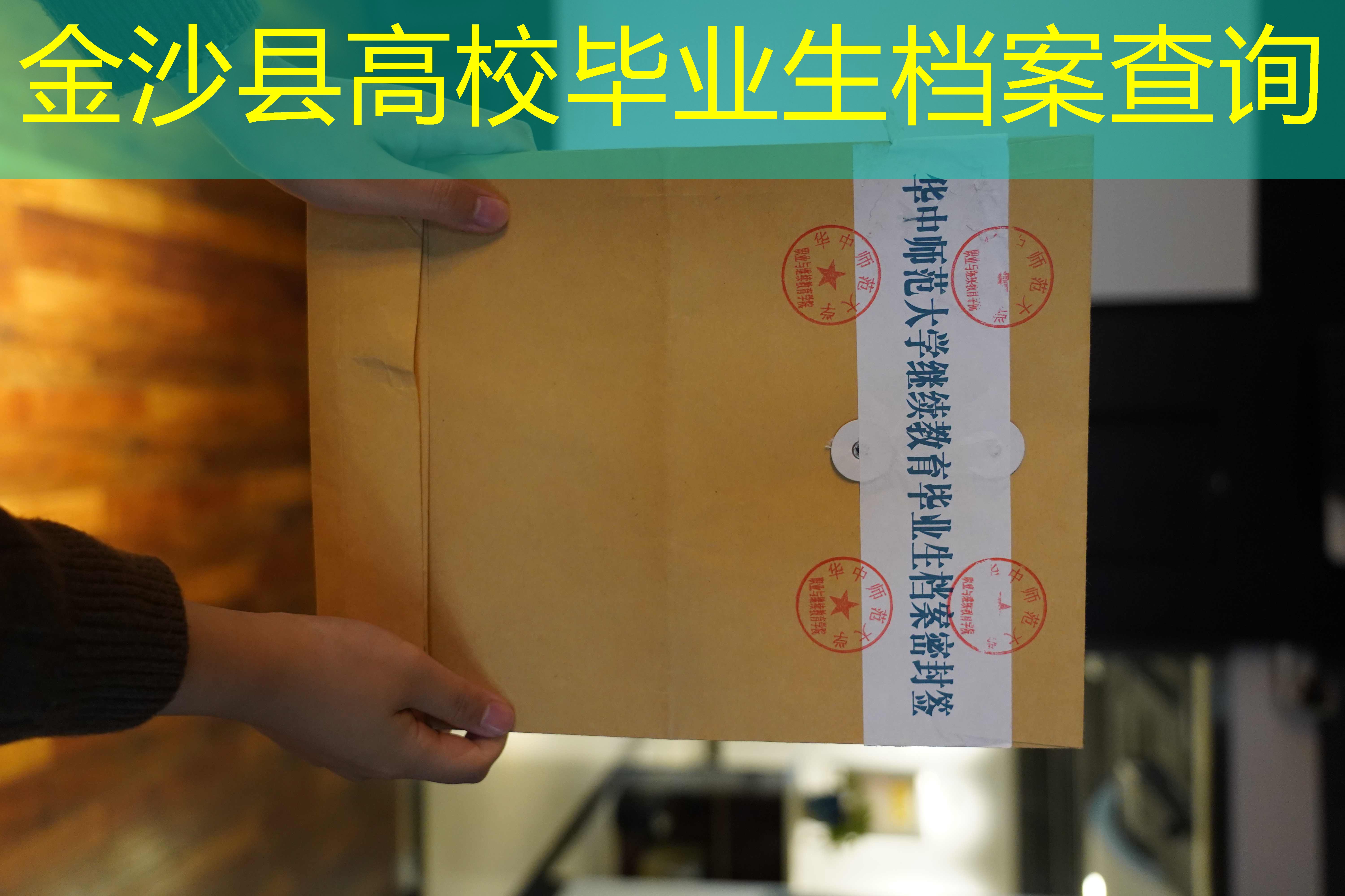 档案查询