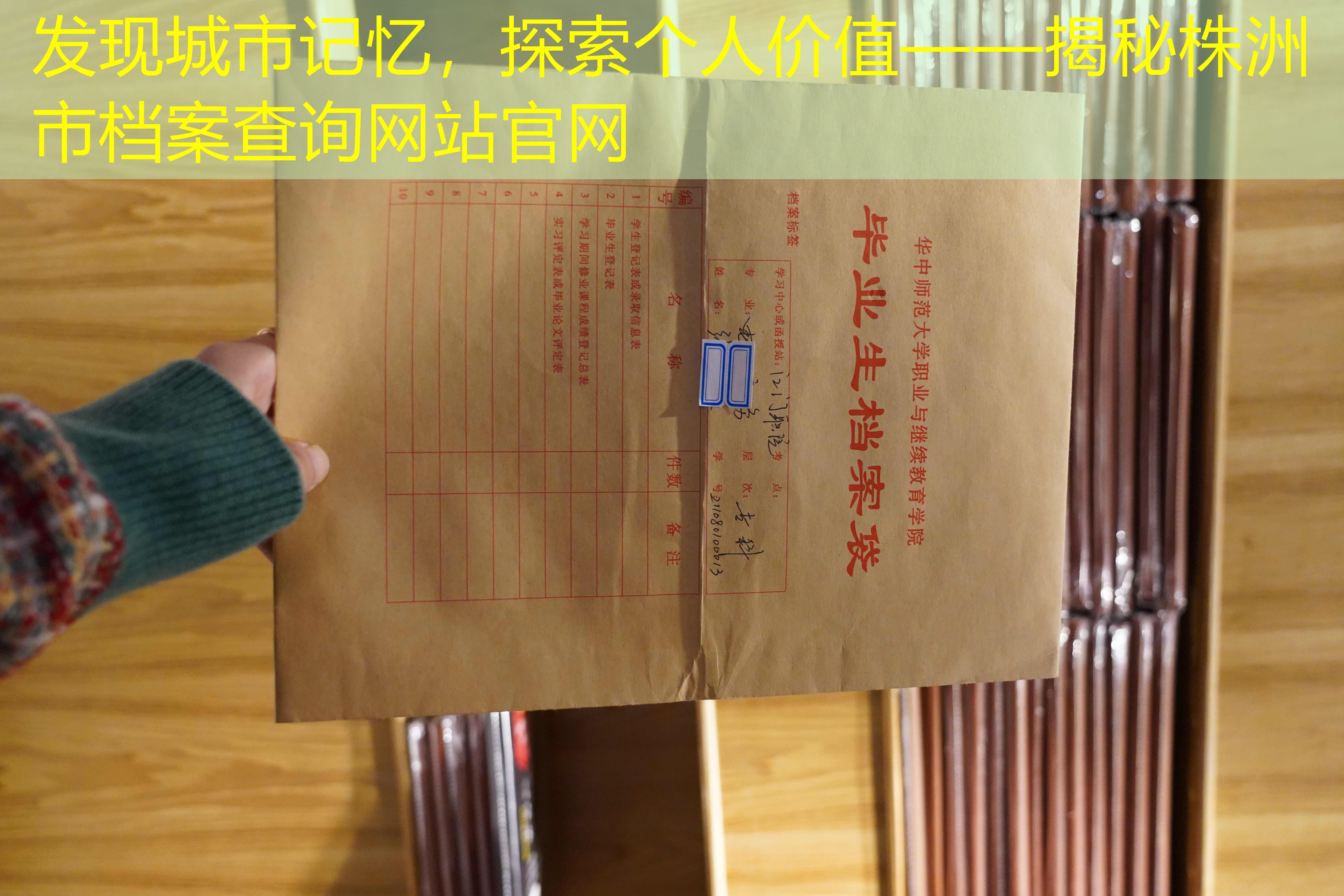 档案查询