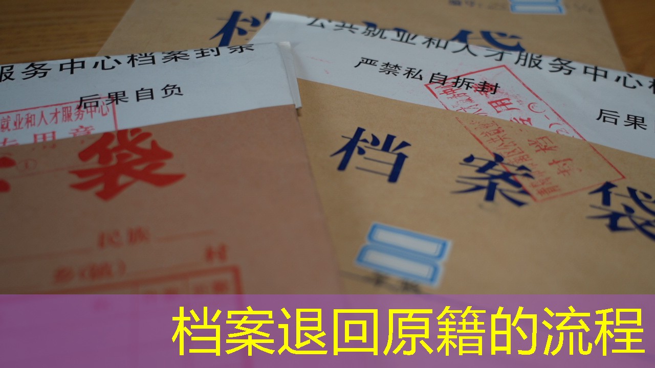 档案查询
