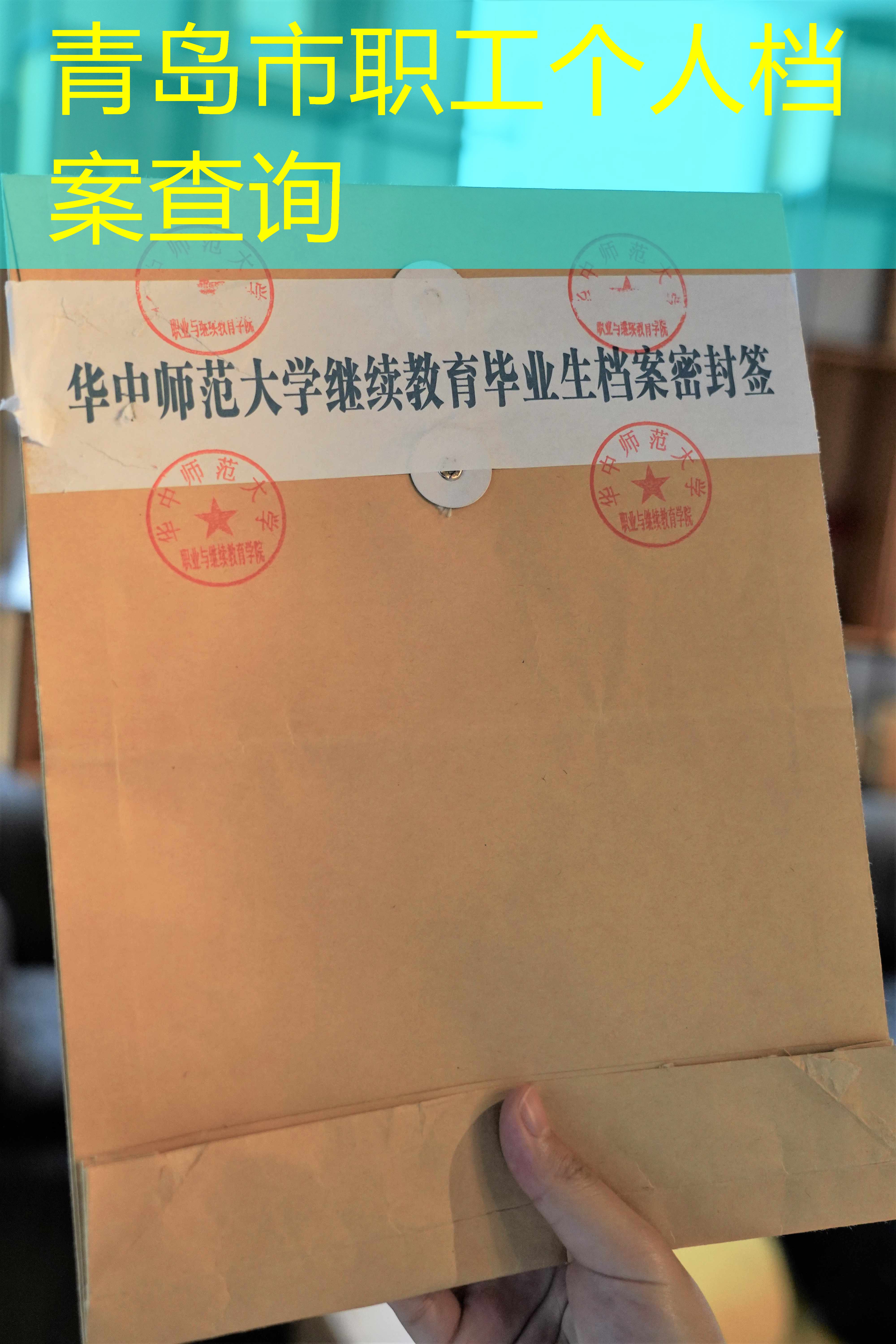 档案查询