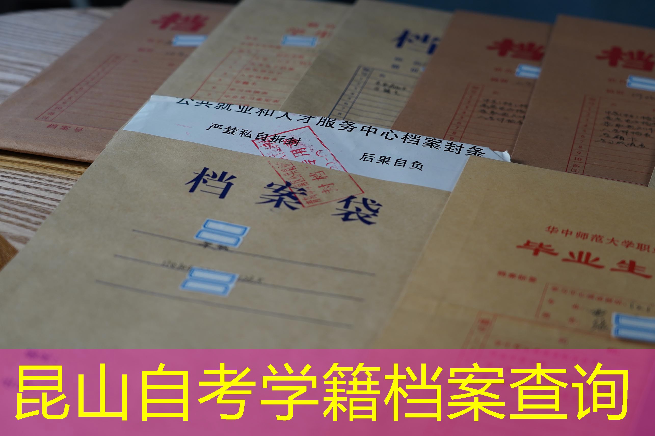 档案查询
