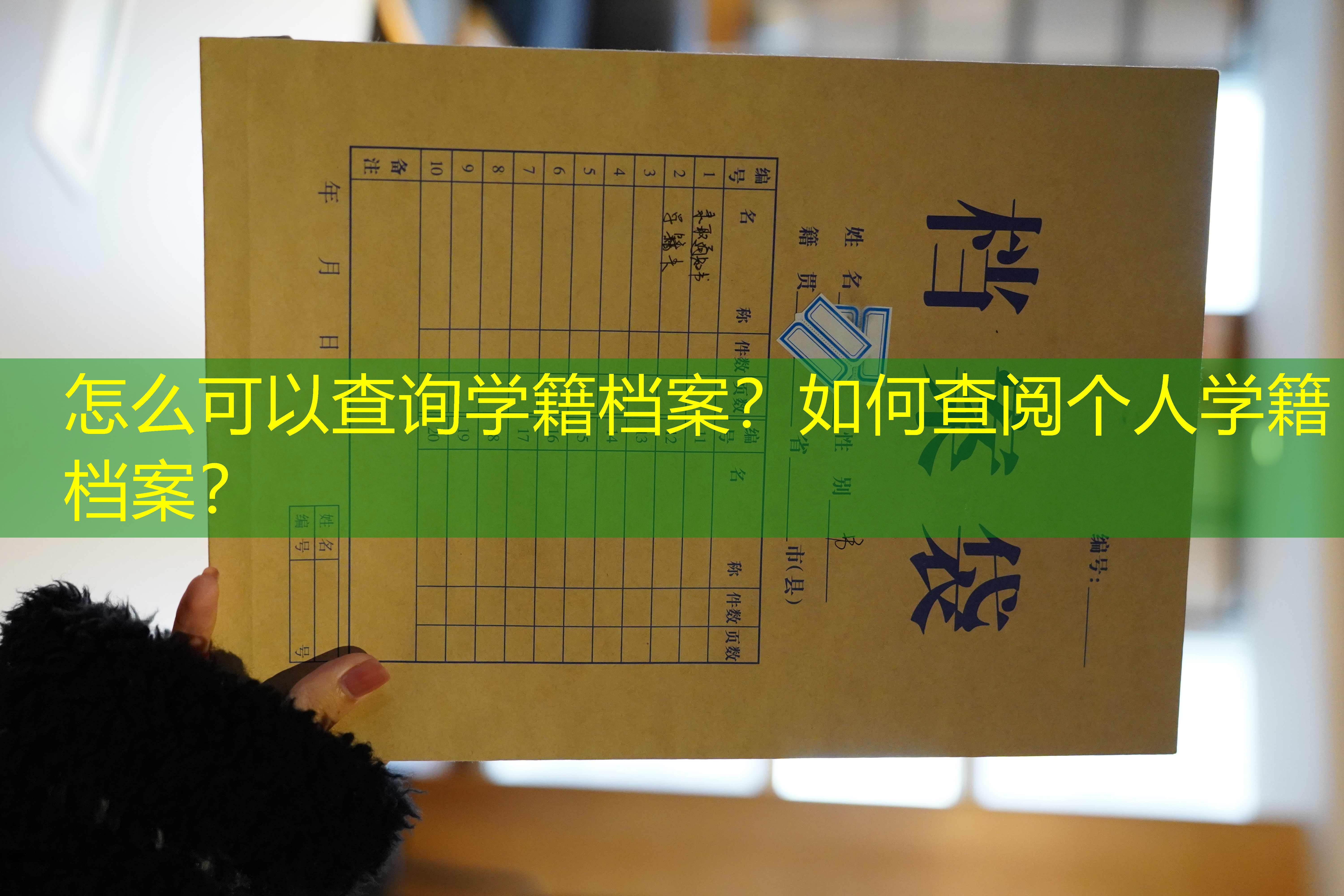 档案查询
