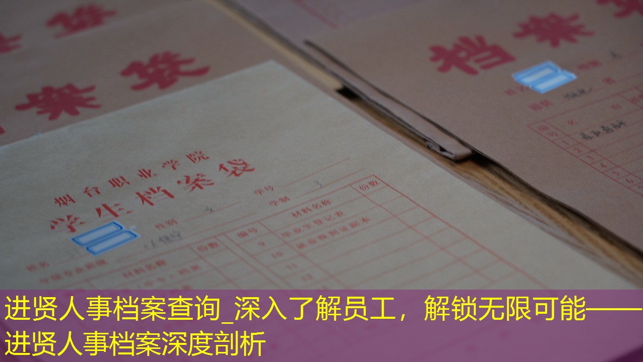 档案查询