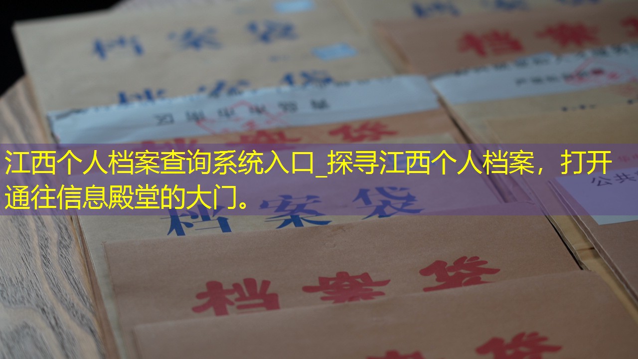 档案查询