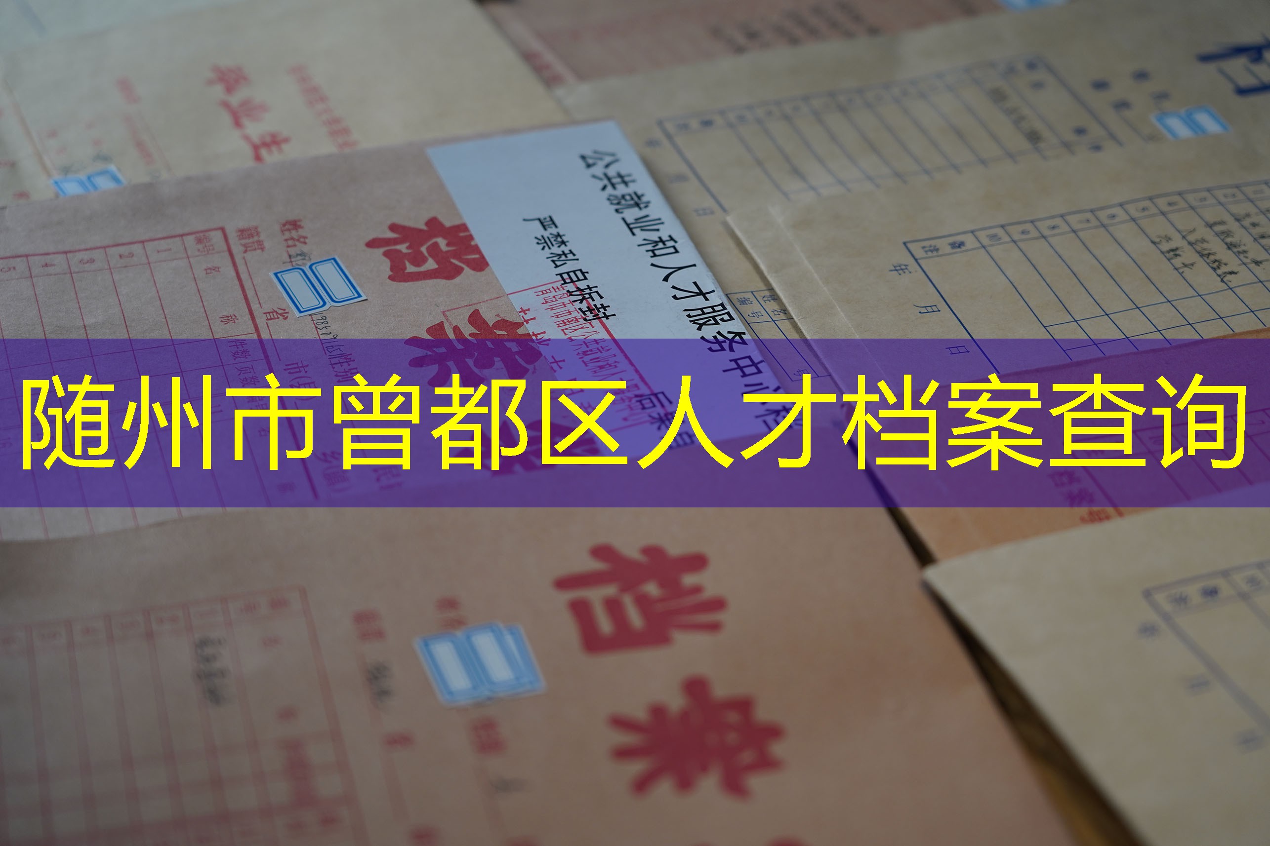 档案查询